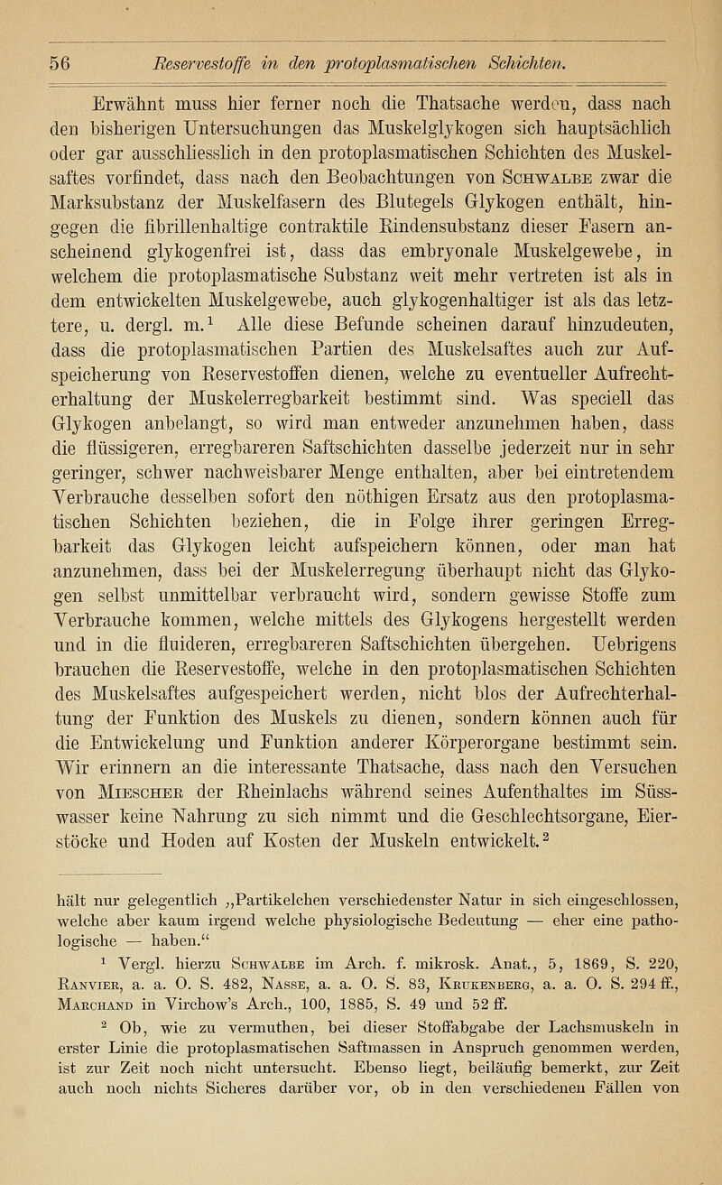 Erwähnt muss hier ferner noch die Thatsache werden, dass nach den hisherigen Untersuchungen das Muskelgljkogen sich hauptsächlich oder gar ausschliesslich in den protoplasmatischen Schichten des Muskel- saftes vorfindet, dass nach den Beobachtungen von Schwalbe zwar die Marksuhstanz der Muskelfasern des Blutegels Glykogen enthält, hin- gegen die fibrillenhaltige contraktile Eindensubstanz dieser Fasern an- scheinend glykogenfrei ist, dass das embryonale Muskelgewebe, in welchem die protoplasmatische Substanz weit mehr vertreten ist als in dem entwickelten Muskelgewebe, auch giykogenhaltiger ist als das letz- tere, u. dergl. m.^ Alle diese Befunde scheinen darauf hinzudeuten, dass die protoplasmatischen Partien des Muskelsaftes auch zur Auf- speicherung von Eeservestoffen dienen, welche zu eventueller Aufrecht- erhaltung der Muskelerregbarkeit bestimmt sind. Was speciell das Glykogen anbelangt, so wird man entweder anzunehmen haben, dass die flüssigeren, erregbareren Saftschichten dasselbe jederzeit nur in sehr geringer, schwer nachweisbarer Menge enthalten, aber bei eintretendem Verbrauche desselben sofort den nöthigen Ersatz aus den protoplasma- tischen Schichten beziehen, die in Folge ihrer geringen Erreg- barkeit das Glykogen leicht aufspeichern können, oder man hat anzunehmen, dass bei der Muskelerregung überhaupt nicht das Glyko- gen selbst unmittelbar verbraucht wird, sondern gewisse Stoffe zum Verbrauche kommen, welche mittels des Glykogens hergestellt werden und in die fluideren, erregbareren Saftschichten übergehen. Uebrigens brauchen die ßeservestoffe, welche in den protoplasmatischen Schichten des Muskelsaftes aufgespeichert werden, nicht blos der Aufrechterhal- tung der Funktion des Muskels zu dienen, sondern können auch für die Entwickelung und Funktion anderer Körperorgane bestimmt sein. Wir erinnern an die interessante Thatsache, dass nach den Versuchen von MiEscHEE der Kheinlachs während seines Aufenthaltes im Süss- wasser keine Nahrung zu sich nimmt und die Geschlechtsorgane, Eier- stöcke und Hoden auf Kosten der Muskeln entwickelt.^ hält nur gelegentlich ;,Partikelchen verschiedenster Natur in sich eingeschlossen, welche aber kaum irgend welche physiologische Bedeutung — eher eine patho- logische — haben. ^ Vergl. hierzu Schwalbe im Arch. f. mikrosk. Anat., 5, 1869, S. 220, Ränvier, a. a. 0. S. 482, Nasse, a. a. 0. S. 83, Keukenberg, a. a. 0. S. 294 fE, Mabchaj^d in Virchow's Arch., 100, 1885, S. 49 und 52 if. ^ Ob, wie zu vermuthen, bei dieser Stoffabgabe der Lachsmuskeln in erster Linie die protoplasmatischen Saftmassen in Anspruch genommen werden, ist zur Zeit noch nicht untersucht. Ebenso liegt, beiläufig bemerkt, zur Zeit auch noch nichts Sicheres darüber vor, ob in den verschiedeneu Fällen von