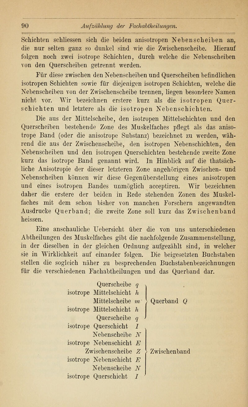 SchicMen scUiessen sicli die beiden anisotropen Nebenscheiben an, die nur selten ganz so dunkel sind wie die Zwischenscheibe. Hierauf folgen noch zwei isotrope ScMchten, durch, welche die Nebenscheiben von den Querscheiben getrennt werden. Für diese zwischen den Nebenscheiben und Querscheiben befindlichen isotropen Schichten sowie für diejenigen isotropen Schichten, welche die Nebenscheiben von der Zwischenscheibe trennen, liegen besondere Namen nicht vor. Wir bezeichnen erstere kurz als die isotropen Quer- schichten und letztere als die isotropen Nebenschichten. Die aus der Mittelscheibe, den isotropen Mittelschichten und den Querscheiben bestehende Zone des Muskelfaches pflegt als das aniso- trope Band (oder die anisotrope Substanz) bezeichnet zu werden, wäh- rend die aus der Zwischenscheibe, den isotropen Nebenschichten, den Nebenscheiben und den isotropen Querschichten bestehende zweite Zone kurz das isotrope Band genannt wird. In Hinblick auf die thatsäch- liche Anisotropie der dieser letzteren Zone angehörigen Zwischen- und Nebenscheiben können wir diese Gegenüberstellung eines anisotropen und eines isotropen Bandes unmöglich acceptiren. Wir bezeichnen daher die erstere der beiden in Rede stehenden Zonen des Muskel- faches mit dem schon bisher von manchen Porschern angewandten Ausdrucke Querband; die zweite Zone soll kurz das Zwischenband heissen. Eine anschauliche Uebersicht über die von uns unterschiedenen Abtheilungen des Muskelfaches gibt die nachfolgende Zusammenstellung, in der dieselben in der gleichen Ordnung aufgezählt sind, in welcher sie in Wirklichkeit auf einander folgen. Die beigesetzten Buchstaben stellen die sogleich näher zu besprechenden Buchstabenbezeichnungen für die verschiedenen Fachabtheilungen und das Querband dar. Querscheibe q isotrope Mittelschicht h Mittelscheibe w isotrope Mittelschicht h Querscheibe q isotrope Querschicht / Nebenscheibe N isotrope Nebenschicht E Zwischenscheibe Z isotrope Nebenschicht E Nebenscheibe N isotrope Querschicht / > Querband Q > Zwischenband