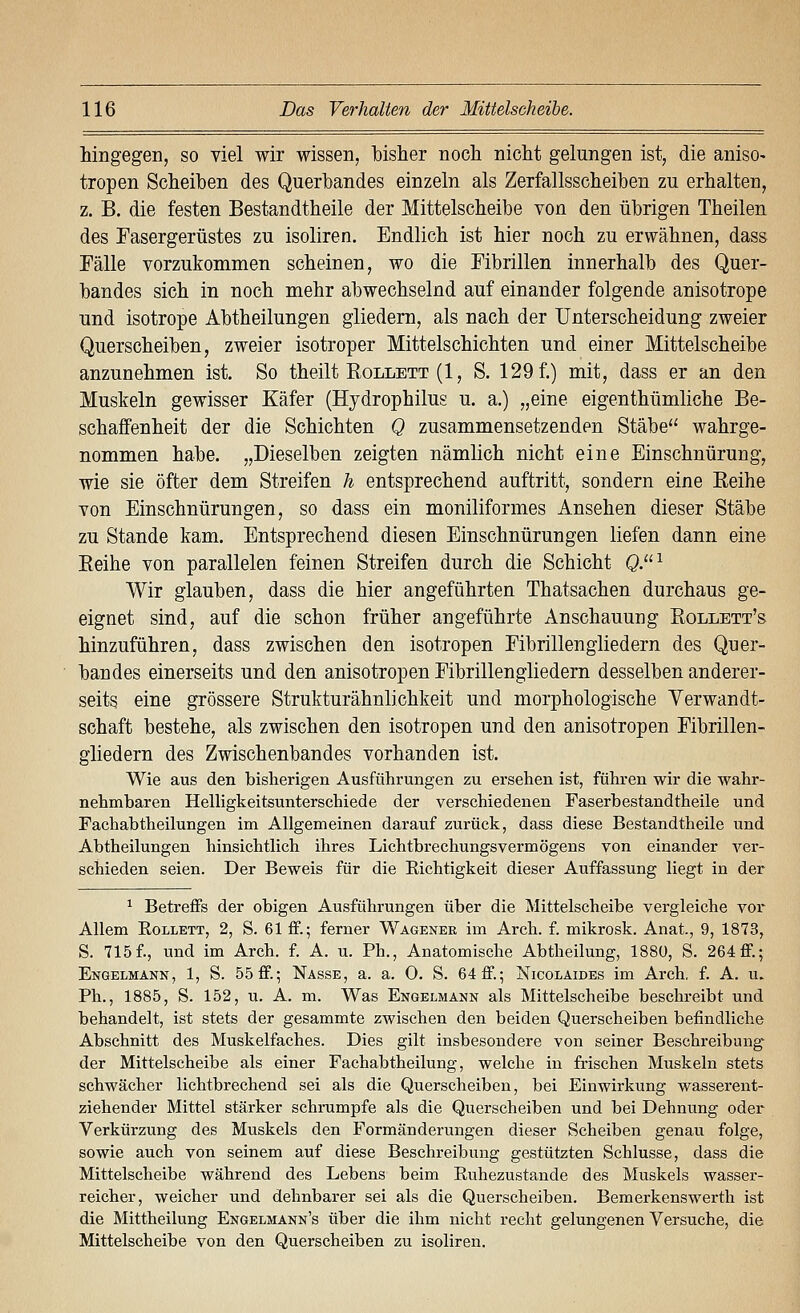 Mngegen, so viel wir wissen, bisher noch nicht gelungen ist, die aniso- tropen Scheiben des Querbandes einzeln als Zerfallsscheiben zu erhalten, z. B. die festen Bestandtheile der Mittelscheibe von den übrigen Theilen des Fasergerüstes zu isoliren. Endlich ist hier noch zu erwähnen, dass Fälle vorzukommen scheinen, wo die Fibrillen innerhalb des Quer- bandes sich in noch mehr abwechselnd auf einander folgende anisotrope und isotrope Abtheilungen gliedern, als nach der Unterscheidung zweier Querscheiben, zweier isotroper Mittelschichten und einer Mittelscheibe anzunehmen ist. So theilt Rollett (1, S. 129 f.) mit, dass er an den Muskeln gewisser Käfer (Hydrophilus u. a.) „eine eigenthümliche Be- schaffenheit der die Schichten Q zusammensetzenden Stäbe wahrge- nommen habe. „Dieselben zeigten nämlich nicht eine Einschnürung, wie sie öfter dem Streifen h entsprechend auftritt, sondern eine Reihe von Einschnürungen, so dass ein moniliformes Ansehen dieser Stäbe zu Stande kam. Entsprechend diesen Einschnürungen liefen dann eine Reihe von parallelen feinen Streifen durch die Schicht Q.^ Wir glauben, dass die hier angeführten Thatsachen durchaus ge- eignet sind, auf die schon früher angeführte Anschauung Rollett's hinzuführen, dass zwischen den isotropen Fibrillengliedern des Quer- bandes einerseits und den anisotropen Fibrillengliedern desselben anderer- seits eine grössere Strukturähnlichkeit und morphologische Verwandt- schaft bestehe, als zwischen den isotropen und den anisotropen Fibrillen- gliedern des Zwischenbandes vorhanden ist. Wie aus den bisherigen Ausführungen zu ersehen ist, führen wir die wahr- nehmbaren Helligkeitsunterschiede der verschiedenen Faserbestandtheile und Fachabtheilungen im Allgemeinen darauf zurück, dass diese Bestandtheile und Abtheilungen hinsichtlich ihres Lichtbrechungsvermögens von einander ver- schieden seien. Der Beweis für die Richtigkeit dieser Auffassung liegt in der ^ Betreffs der obigen Ausführungen über die Mittelscheibe vergleiche vor Allem EoLLETT, 2, S. 61 ff.; ferner Wagener im Arch. f. mikrosk. Anat., 9, 1873, S. 715f., und im Arch. f. A. u. Ph., Anatomische Abtheilung, 188U, S. 264ff.; Engelmann, 1, S. 55 ff.; Nasse, a. a. 0. S. 64 ff.; Nicolaides im Arch, f. A. u. Ph., 1885, S. 152, u. A. m. Was Engelmann als Mittelscheibe beschreibt und behandelt, ist stets der gesammte zwischen den beiden Querscheiben befindliche Abschnitt des Muskelfaches. Dies gilt insbesondere von seiner Beschreibung der Mittelscheibe als einer Fachabtheilung, welche in frischen Muskeln stets schwächer lichtbrechend sei als die Querscheiben, bei Einwirkung wasserent- ziehender Mittel stärker schrumpfe als die Querscheiben und bei Dehnung oder Verkürzung des Muskels den Formänderungen dieser Scheiben genau folge, sowie auch von seinem auf diese Beschreibung gestützten Schlüsse, dass die Mittelscheibe während des Lebens beim Ruhezustande des Muskels wasser- reicher, weicher und dehnbarer sei als die Querscheiben. Bemerkenswerth ist die Mittheilung Engelmänn's über die ihm nicht recht gelungenen Versuche, die Mittelscheibe von den Querscheiben zu isoliren.