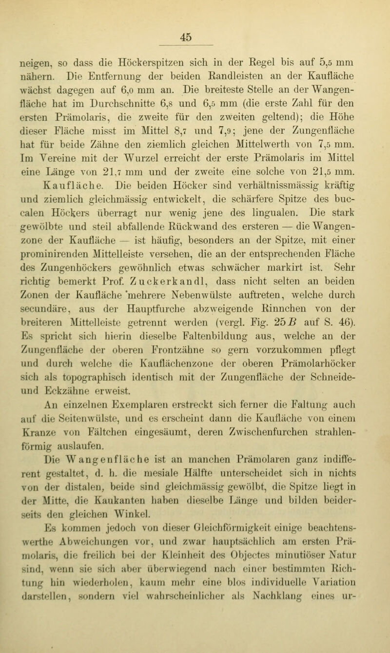 neigen, so dass die Höckerspitzen sich in der Regel bis auf 5,5 mm nähern. Die Entfernuug der beiden Randleisten an der Kaufläche wächst dagegen auf 6,0 mm an. Die breiteste Stelle an der Wangen- fläche hat im Durchschnitte 6,8 und 6,5 mm (die erste Zahl für den ersten Prämolaris, die zweite für den zweiten geltend); die Höhe dieser Fläche misst im Mittel 8,7 und 7,9; jene der Zungenfläche hat für beide Zähne den ziemlich gleichen Mittelwerth von 7,5 mm. Im Vereine mit der Wurzel erreicht der erste Prämolaris im Mittel eine Länge von 21,7 mm und der zweite eine solche von 21,5 mm. Kaufläche. Die beiden Höcker sind verhältnissraässig kräftig und ziemlich gleichmässig entwickelt, die schärfere Spitze des buc- calen Höckers überragt nur wenig jene des lingualen. Die stark gewölbte und steil abfallende Rückwand des ersteren — die Wangen- zone der Kaufläche — ist häufig, besonders an der Spitze, mit einer prominirenden Mittelleiste versehen, die an der entsprechenden Fläche des Zungenhöckers gewöhnlich etwas schwächer markirt ist. Sehr richtig bemerkt Prof Zuckerkandl, dass nicht selten an beiden Zonen der Kaufläche 'mehrere Nebenwülste auftreten, welche durch secundäre, aus der Hauptfurche abzweigende Rinuchen von der breiteren Mittelleiste getrennt werden (vergl. Fig. 26 B auf S. 46). Es spricht sich hierin dieselbe Faltenbildung aus, welche an der Zungenfläche der oberen Frontzähne so gern vorzukommen pflegt und durch welche die Kauflächenzone der oberen Prämolarhöcker sich als topographisch identisch mit der Zungenfläche der Schneide- und Eckzähne erweist. An einzelnen Exemplaren erstreckt sich ferner die Faltung auch auf die Soitenwülste, und es erscheint dann die Kaufläche von einem Kranze von Fältchen eingesäumt, deren Zwischenfurchen strahlen- förmig auslaufen. Die Wangenflä(;he ist an manchen Prämolaren ganz indiffe- rent gestaltet, d. h. die mesiale Hälfte unterscheidet sich in nichts von der distalen, beide sind gleichmässig gewölbt, die Spitze liegt in der Mitte, die Kaukanten haben dieselbe Länge und bilden beider- seits den gleichen Winkel. Kh kommen jedoch von dieser Oleichföi-migkeit einige beachtens- werthe Abweichungen vor, und zwar hauptsächlich am ersten Prä- molaris, die freilich bei der Kleinheit des Objectes minutiöser Natur sind, wenn sie sich aber überwiegend nach einfir bostinimten Rich- tung hin wiederholen, kaum mehr eine blos individuelle Variation darstellen, sondern viel wahrscheinlicher als Nachklang eines ur-