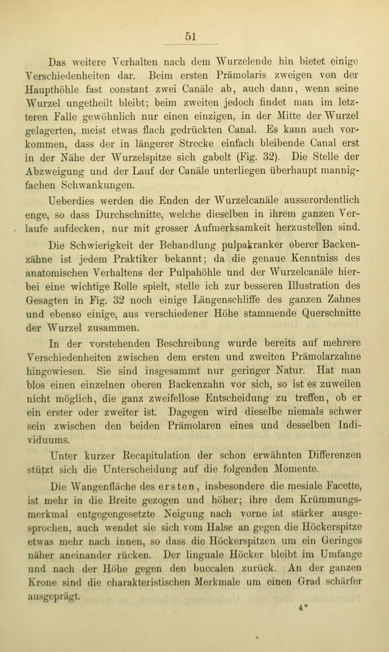 Das weitere Verhalten nach dem Wurzelende hin bietet einige Verschiedenheiten dar. Beim ersten Prämolaris zweigen von der Haupthöhle fast constaut zwei Canäle ab, auch dann, wenn seine Wurzel ungetheilt bleibt; beim zweiten jedoch findet man im letz- teren Falle gewöhnlich nur einen einzigen, in der Mitte der Wurzel gelagerten, meist etwas flach gedrückten Canal. Es kann auch vor- kommen, dass der in längerer Strecke einfach bleibende Canal erst in der Nähe der Wurzelspitze sich gabelt (Fig. 32). Die Stelle der Abzweigung und der Lauf der Canäle unterliegen überhaupt mannig- fachen Schwankungen. Ueberdies werden die Enden der Wurzelcanäle ausserordentlich enge, so dass Durchschnitte, welche dieselben in ihrem ganzen Ver- laufe aufdecken, nur mit grosser Aufmerksamkeit herzustellen sind. Die Schwierigkeit der Behandlung pulpakranker oberer Backen- zähne ist jedem Praktiker bekannt; da die genaue Kenntniss des anatomischen Verhaltens der Pulpahöhle und der Wurzelcanäle hier- bei eine wichtige Rolle spielt, stelle ich zur besseren Illustration des Gesagten in Fig. 32 noch einige Längenschliffe des ganzen Zahnes und ebenso einige, aus verschiedener Höhe stammende Querschnitte der Wurzel zusammen. In der vorstehenden Beschreibung wurde bereits auf mehrere Verschiedenheiten zwischen dem ersten und zweiten Prämolarzahne hingewiesen. Sie sind insgesammt nur geringer Natur. Hat man blos einen einzelnen oberen Backenzahn vor sich, so ist es zuweilen nicht möglich, die ganz zweifellose Entscheidung zu treffen, ob er ein erster oder zweiter ist. Dagegen wird dieselbe niemals schwer sein zwischen den beiden Prämolaren eines und desselben Indi- viduums. Unter kurzer Recapitulation der schon erwähnten Differenzen stützt sich die Unterscheidung auf die folgenden Momente. Die Wangenfläche des ersten , insbesondere die mesiale Facette, ist mehr in die Breite gezogen und höher; ihre dem Krüramungs- raerkmal entgegengesetzte Neigung nach vorne ist stärker ausge- sprochen, auch wendet sie sich vom Halse an gegen die Höckerspitze etwas mehr nach innen, so dass die Höckerspitzen um ein Geringes näher aneinander rücken. Der linguale Höcker bleibt im Umfange und nach der Höhe gegen den buccalen zurück. An der ganzen Krone sind die charakteristischen Merkmale um einen Grad schärfer ausgeprägt.