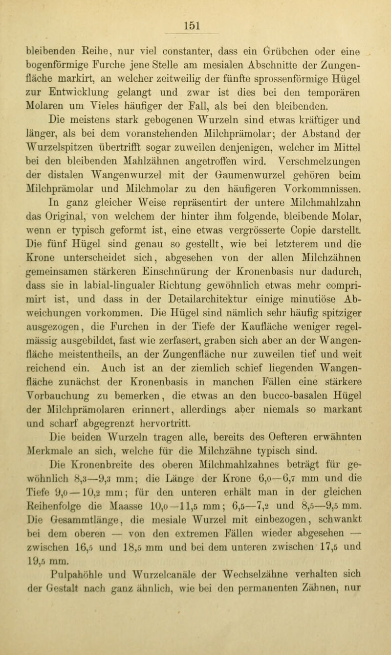bleibenden Reihe, nur viel constanter, dass ein Grübchen oder eine bogenförmige Furche jene Stelle am mesialen Abschnitte der Zungen- fläche markirt, an welcher zeitweilig der fünfte sprossenförmige Hügel zur Entwicklung gelangt und zwar ist dies bei den temporären Molaren um Vieles häufiger der Fall, als bei den bleibenden. Die meistens stark gebogenen Wurzeln sind etwas kräftiger und länger, als bei dem voranstehenden Milchprämolar; der Abstand der Wurzelspitzen übertrifft sogar zuweilen denjenigen, welcher im Mittel bei den bleibenden Mahlzähnen angetroffen wird. Yerschmelzungen der distalen Wangenwurzel mit der Gaumenwurzel gehören beim Milchprämolar und Milchmolar zu den häufigeren Vorkommnissen. In ganz gleicher Weise repräsentirt der untere Milchmahlzahn das Original, von welchem der hinter ihm folgende, bleibende Molar, wenn er typisch geformt ist, eine etwas vergrösserte Copie darstellt. Die fünf Hügel sind genau so gestellt, wie bei letzterem und die Krone unterscheidet sich, abgesehen von der allen Milchzähnen gemeinsamen stäi'keren Einschnürung der Kronenbasis nur dadurch, dass sie in labial-Hngualer Richtung gewöhnlich etwas mehr compri- mirt ist, und dass in der Detailarchitektur einige minutiöse Ab- weichungen vorkommen. Die Hügel sind nämlich sehr häufig spitziger ausgezogen, die Furchen in der Tiefe der Kaufläche weniger regel- mässig ausgebildet, fast wie zerfasert, graben sich aber an der Wangen- fläche meistentheils, an der Zungenfläche nur zuweilen tief und weit reichend ein. Auch ist an der ziemlich schief liegenden Wangen- fläche zunächst der Kronenbasis in manchen Fällen eine stärkere Vorbauchung zu bemerken, die etwas an den bucco-basalen Hügel der Milchprämolaren erinnert, allerdings aber niemals so markant und scharf abgegrenzt hervortritt. Die beiden Wurzeln tragen alle, bereits des Oefteren erwähnten Merkmale an sich, welche für die Milchzähne typisch sind. Die Kronenbreite des oberen Milchmahlzahnes beträgt für ge- wöhnlich 8,3—9,.s mm; die Länge der Krone 6,0—6,7 mm und die Tiefe 9,0 —10,2 mm; für den unteren erhält man in der gleichen Reihenfolge die Maasse 10,0—11,5 mm; 6,5—7,2 und 8,5—9,5 mm. Die Gesammtlänge, die mesiale Wurzel mit einbezogen, schwankt bei dem oberen — von den extremen Fällen wieder abgesehen — zwischen 16,5 und 18,5 mm und bei dem unteren zwischen 17,5 und 19,5 mm. Pulpahöhlo und Wurzelcanäie der Wechselzähne verhalten sich der Gestalt nach ganz ähnlich, wie bei den permanenten Zähnen, nur