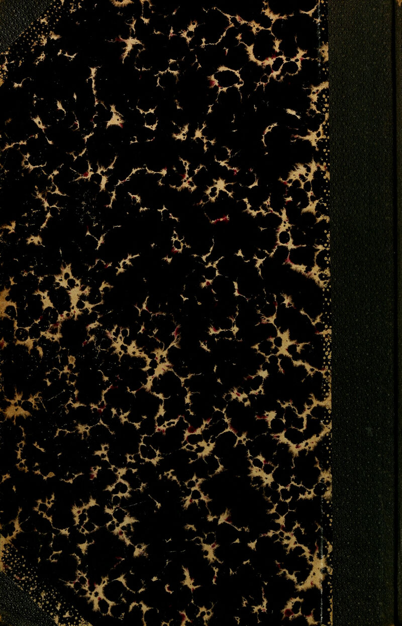 ■::J.i;i. r '^w^ T> ■r.:^ y 'm^^ ■>v^'*V' O' ^ -CS , iK- y^- :«j f • l Ys^ ) > * *^4 .1 i j , c S'