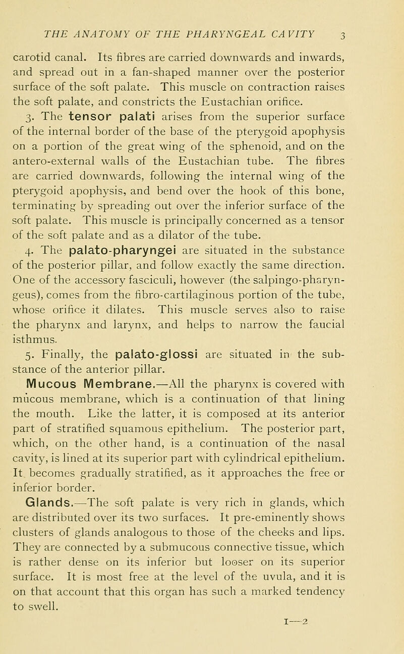 carotid canal. Its fibres are carried downwards and inwards, and spread out in a fan-shaped manner over the posterior surface of the soft palate. This muscle on contraction raises the soft palate, and constricts the Eustachian orifice. 3. The tensor pa I at i arises from the superior surface of the internal border of the base of the pterygoid apophysis on a portion of the great wing of the sphenoid, and on the antero-external walls of the Eustachian tube. The fibres are carried downwards, following the internal wing of the pterygoid apophysis, and bend over the hook of this bone, terminating by spreading out over the inferior surface of the soft palate. This muscle is principally concerned as a tensor of the soft palate and as a dilator of the tube. 4. The palato-pharyngei are situated in the substance of the posterior pillar, and follow exactly the same direction. One of the accessory fasciculi, however (the salpingo-pharyn- geus), comes from the fibro-cartilaginous portion of the tube, whose orifice it dilates. This muscle serves also to raise the pharynx and larynx, and helps to narrow the faucial isthmus. 5. Finally, the palato-glossi are situated in the sub- stance of the anterior pillar. Mucous Membrane.—All the pharynx is covered with mucous membrane, which is a continuation of that lining the mouth. Like the latter, it is composed at its anterior part of stratified squamous epithelium. The posterior part, which, on the other hand, is a continuation of the nasal cavity, is lined at its superior part with cylindrical epithelium. It. becomes gradually stratified, as it approaches the free or inferior border. Glands.—The soft palate is very rich in glands, which are distributed over its two surfaces. It pre-eminently shows clusters of glands analogous to those of the cheeks and lips. They are connected by a submucous connective tissue, which is rather dense on its inferior but looser on its superior surface. It is most free at the level of the uvula, and it is on that account that this organ has such a marked tendency to swell. I—2