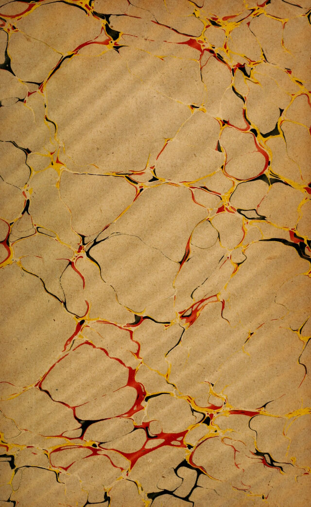 digitised image 3