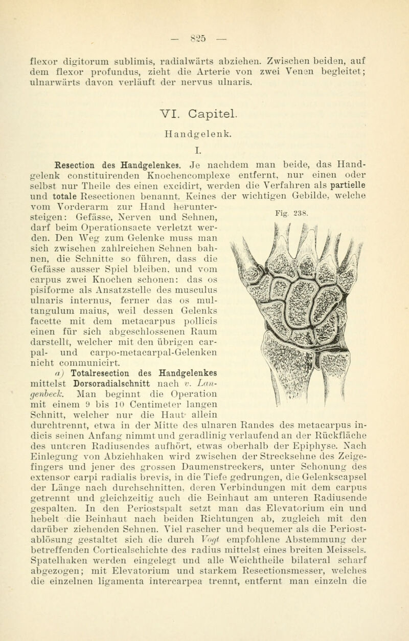 flexor digitorum sublimis, radialwärts abziehen. Zwischen beiden, auf dem flexor profundus, zieht die Arterie von zwei Venen begleitet; ulnarwärts davon verläuft der nervus uluaris. Fig. 238. VI. Capitel. Handgelenk. I. Resection des Handgelenkes. Je nachdem man beide, das Hand- gelenk constituirenden Knochencomplexe entfernt, nur einen oder selbst nur Theile des einen excidirt, werden die Verfahren als partielle und totale Resectionen benannt. Keines der wichtigen Gebilde, welche vom Vorderarm zur Hand herunter- steigen: Gefässe, Nerven und Sehnen, darf beim Operationsacte verletzt wer- den. Den Weg zum Gelenke muss man sich zwischen zahlreichen Sehnen bah- nen, die Schnitte so führen, dass die Gefässe ausser Spiel bleiben, und vom carpus zwei Knochen schonen: das os pisiforme als Ansatzstelle des musculus ulnaris internus, ferner das os mul- tangulum malus, weil dessen Gelenks facette mit dem metacarpus pollicis einen für sich abgeschlossenen Raum darstellt, welcher mit den übrigen car- pal- und carpo-metacarpal-Gelenken nicht communicirt. (I) Totalresection des Handgelenkes mittelst Dorsoradialschnitt nach v. Lan- genheclz. Man beginnt die Operation mit einem 9 bis 10 Centimeter langen Schnitt, welcher nur die Haut- allein durchtrennt, etwa in der Mitte des ulnaren Randes des metacarpus in- dicis seinen Anfang nimmt und geradlinig verlaufend an der Rückfläche des unteren Radiusendes aufhört, etwas oberhalb der Epiphyse. Nach Einlegung von Abziehhaken wird zwischen der Strecksehne des Zeige- fingers und jener des grossen Daumenstreckers, unter Schonung des extensor carpi radialis brevis, in die Tiefe gedrungen, die Gelenkscapsel der Länge nach durchschnitten, deren Verbindungen mit dem carjjus getrennt und gleichzeitig auch die Beinhaut am unteren Radiusende gespalten. In den Periostspalt setzt man das Elevatorium ein und hebelt die Beinhaut nach beiden Richtungen ab, zugleich mit den darüber ziehenden Sehnen. Viel rascher und bequemer als die Periost- ablösung gestaltet sich die durch Vogt empfohlene Abstemmung der betreffenden Corticalschichte des radius mittelst eines breiten Meisseis. Spatelhaken werden eingelegt und alle Weichtheile bilateral scharf abgezogen; mit Elevatorium und starkem Resectionsmesser, welches die einzelnen ligamenta intercarpea trennt, entfernt man einzeln die