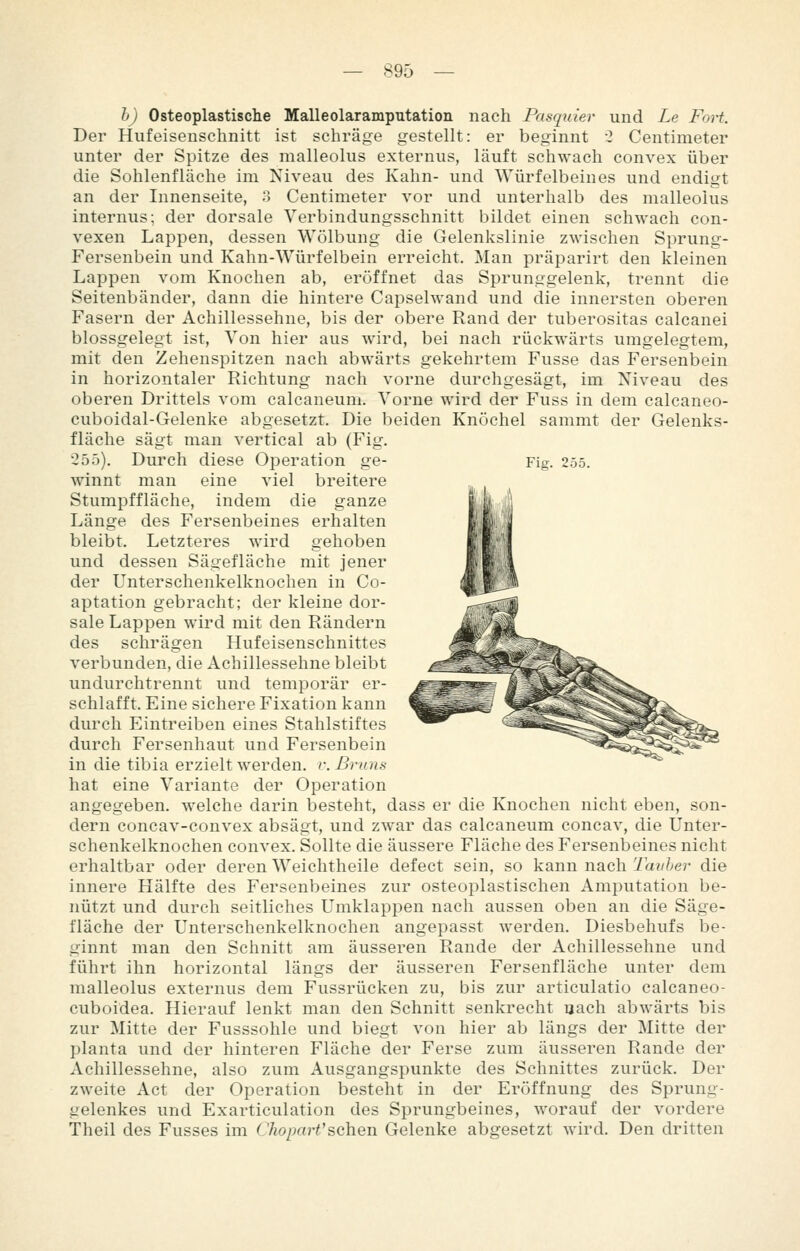 b) Osteoplastische Malleolaramputatioii nach Pasqiiier und Le Fort. Der Hufeiseuschnitt ist schräge gestellt: er beginnt v* Centimeter unter der Spitze des malleolus externus, läuft schwach convex über die Sohlenfläche im Niveau des Kahn- und Würfelbein es und endigt an der Innenseite, 3 Centimeter vor und unterhalb des malleolus internus; der dorsale Verbindungsschnitt bildet einen schwach con- vexen Lappen, dessen Wölbung die Gelenkslinie zwischen Sprung- Fersenbein und Kahn-Würfelbein erreicht. Man präparirt den kleinen Lappen vom Knochen ab, eröffnet das Sprunggelenk, trennt die Seitenbänder, dann die hintere Capselwand und die innersten oberen Fasern der Achillessehne, bis der obere Rand der tuberositas calcanei blossgelegt ist, Von hier aus wird, bei nach rückwärts umgelegtem, mit den Zehenspitzen nach abwärts gekehrtem Fusse das Fersenbein in horizontaler Richtung nach vorne durchgesägt, im Niveau des oberen Drittels vom calcaneum. Vorne wird der Fuss in dem calcaneo- cuboidal-Gelenke abgesetzt. Die beiden Knöchel sammt der Gelenks- fläche sägt man vertical ab (Fig. 255). Durch diese Operation ge- Fig. 255. winnt man eine viel breitere Stumpffläche, indem die ganze Länge des Fersenbeines erhalten bleibt. Letzteres wird gehoben und dessen Sägefläche mit jener der Unterschenkelknochen in Co- aptation gebracht; der kleine dor- sale Lappen wird mit den Rändern des schrägen Hufeisenschnittes verbunden, die Achillessehne bleibt undurchtrennt und temporär er- schlafft. Eine sichere Fixation kann durch Eintreiben eines Stahlstiftes durch Fersenhaut und Fersenbein in die tibia erzielt werden, r. ßruns hat eine Variante der Operation angegeben, welche darin besteht, dass er die Knochen nicht eben, son- dern concav-convex absägt, und zwar das calcaneum concav, die Unter- schenkelknochen convex. Sollte die äussere Fläche des Fersenbeines nicht erhaltbar oder deren Weichtheile defect sein, so kann nach Tauber die innere Hälfte des Fersenbeines zur osteoplastischen Amputation be- nützt und durch seitliches Umklappen nach aussen oben an die Säge- fläche der Unterschenkelknochen angepasst werden. Diesbehufs be- ginnt man den Schnitt am äusseren Rande der Achillessehne und führt ihn horizontal längs der äusseren Fersenfläche unter dem malleolus externus dem Fussrücken zu, bis zur articulatio calcaneo- cuboidea. Hierauf lenkt man den Schnitt senkrecht uach abwärts bis zur Mitte der Fusssohle und biegt von hier ab längs der Mitte der planta und der hinteren Fläche der Ferse zum äusseren Rande der Achillessehne, also zum Ausgangspunkte des Schnittes zurück. Der zweite Act der Operation besteht in der Eröffnung des Sprung- gelenkes und Exarticulation des Sprungbeines, Avorauf der vordere Theil des Fusses im Chopart'sehen Gelenke abgesetzt wird. Den dritten