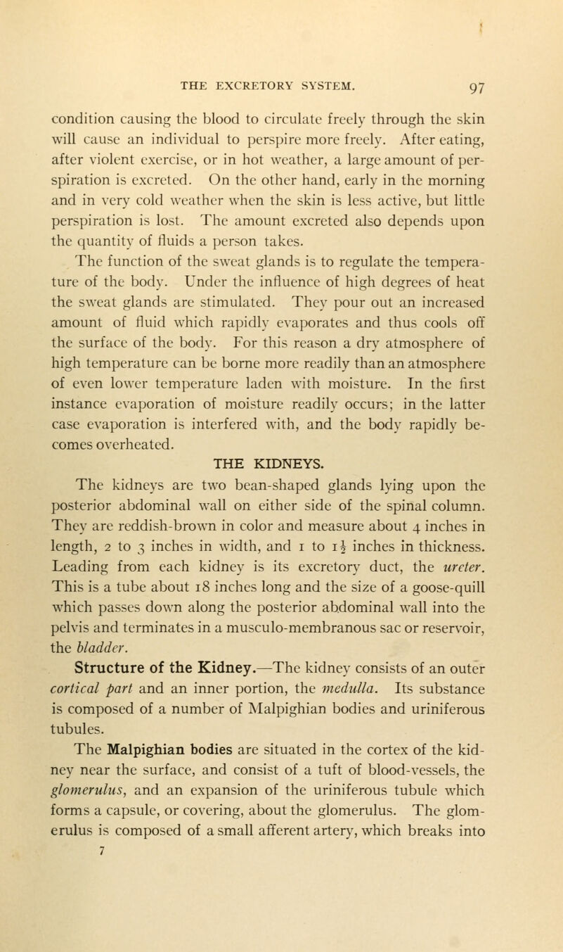 condition causing the blood to circulate freely through the skin will cause an individual to perspire more freely. After eating, after violent exercise, or in hot weather, a large amount of per- spiration is excreted. On the other hand, early in the morning and in very cold weather when the skin is less active, but little perspiration is lost. The amount excreted also depends upon the quantity of fluids a person takes. The function of the sweat glands is to regulate the tempera- ture of the body. Under the influence of high degrees of heat the sweat glands are stimulated. They pour out an increased amount of fluid which rapidly evaporates and thus cools oft' the surface of the body. For this reason a dry atmosphere of high temperature can be borne more readily than an atmosphere of even lower temperature laden with moisture. In the first instance evaporation of moisture readily occurs; in the latter case evaporation is interfered with, and the body rapidly be- comes overheated. THE KIDNEYS. The kidneys are two bean-shaped glands lying upon the posterior abdominal wall on either side of the spinal column. They are reddish-brown in color and measure about 4 inches in length, 2 to 3 inches in width, and i to i^ inches in thickness. Leading from each kidney is its excretory duct, the ureter. This is a tube about 18 inches long and the size of a goose-quill which passes down along the posterior abdominal wall into the pelvis and terminates in a musculo-membranous sac or reservoir, the bladder. Structure of the Kidney.^The kidney consists of an outer cortical part and an inner portion, the medulla. Its substance is composed of a number of Malpighian bodies and uriniferous tubules. The Malpighian bodies are situated in the cortex of the kid- ney near the surface, and consist of a tuft of blood-vessels, the glomerulus, and an expansion of the uriniferous tubule which forms a capsule, or covering, about the glomerulus. The glom- erulus is composed of a small afferent artery, which breaks into 7
