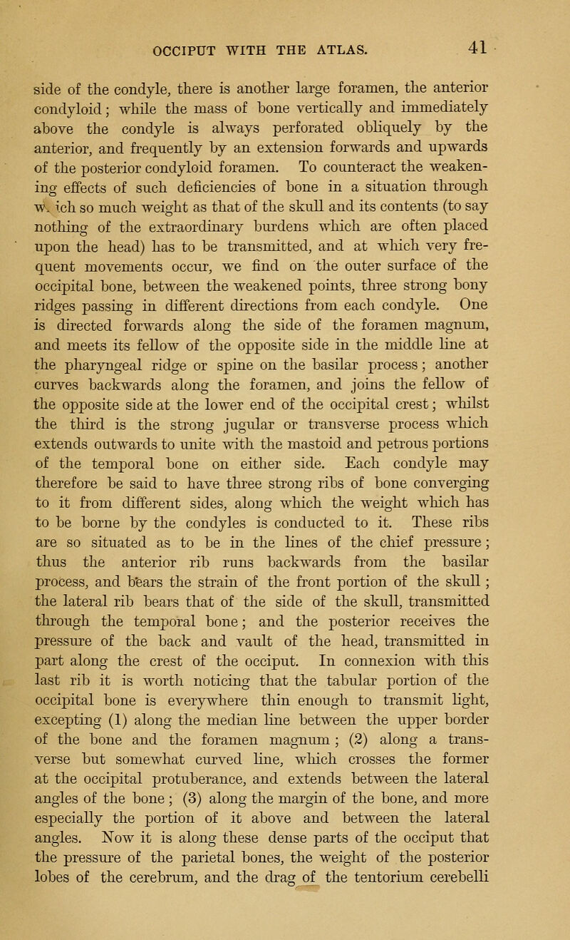 side of the condyle, there is another large foramen, the anterior condyloid; while the mass of bone vertically and immediately ahove the condyle is always perforated obliquely by the anterior, and frequently by an extension forwards and upwards of the posterior condyloid foramen. To counteract the weaken- ing effects of such deficiencies of bone in a situation through w. ich so much weight as that of the skull and its contents (to say nothing of the extraordinary burdens which are often placed upon the head) has to be transmitted, and at which very fre- quent movements occur, we find on the outer surface of the occipital bone, between the weakened points, three strong bony ridges passing in different directions from each condyle. One is directed forwards along the side of the foramen magnum, and meets its fellow of the opposite side in the middle line at the pharyngeal ridge or spine on the basilar process; another curves backwards along the foramen, and joins the fellow of the opposite side at the lower end of the occipital crest; whilst the third is the strong jugular or transverse process which extends outwards to unite with the mastoid and petrous portions of the temporal bone on either side. Each condyle may therefore be said to have three strong ribs of bone converging to it from different sides, along which the weight which has to be borne by the condyles is conducted to it. These ribs are so situated as to be in the lines of the chief pressure; thus the anterior rib runs backwards from the basilar process, and b'ears the strain of the front portion of the skull; the lateral rib bears that of the side of the skull, transmitted through the temporal bone; and the posterior receives the pressure of the back and vault of the head, transmitted in part along the crest of the occiput. In connexion with this last rib it is worth noticing that the tabular portion of the occipital bone is everywhere thin enough to transmit light, excepting (1) along the median line between the upper border of the bone and the foramen magnum; (2) along a trans- verse but somewhat curved line, which crosses the former at the occipital protuberance, and extends between the lateral angles of the bone ; (3) along the margin of the bone, and more especially the portion of it above and between the lateral angles. Now it is along these dense parts of the occiput that the pressm-e of the parietal bones, the weight of the posterior lobes of the cerebrum, and the drag of the tentorium cerebelli