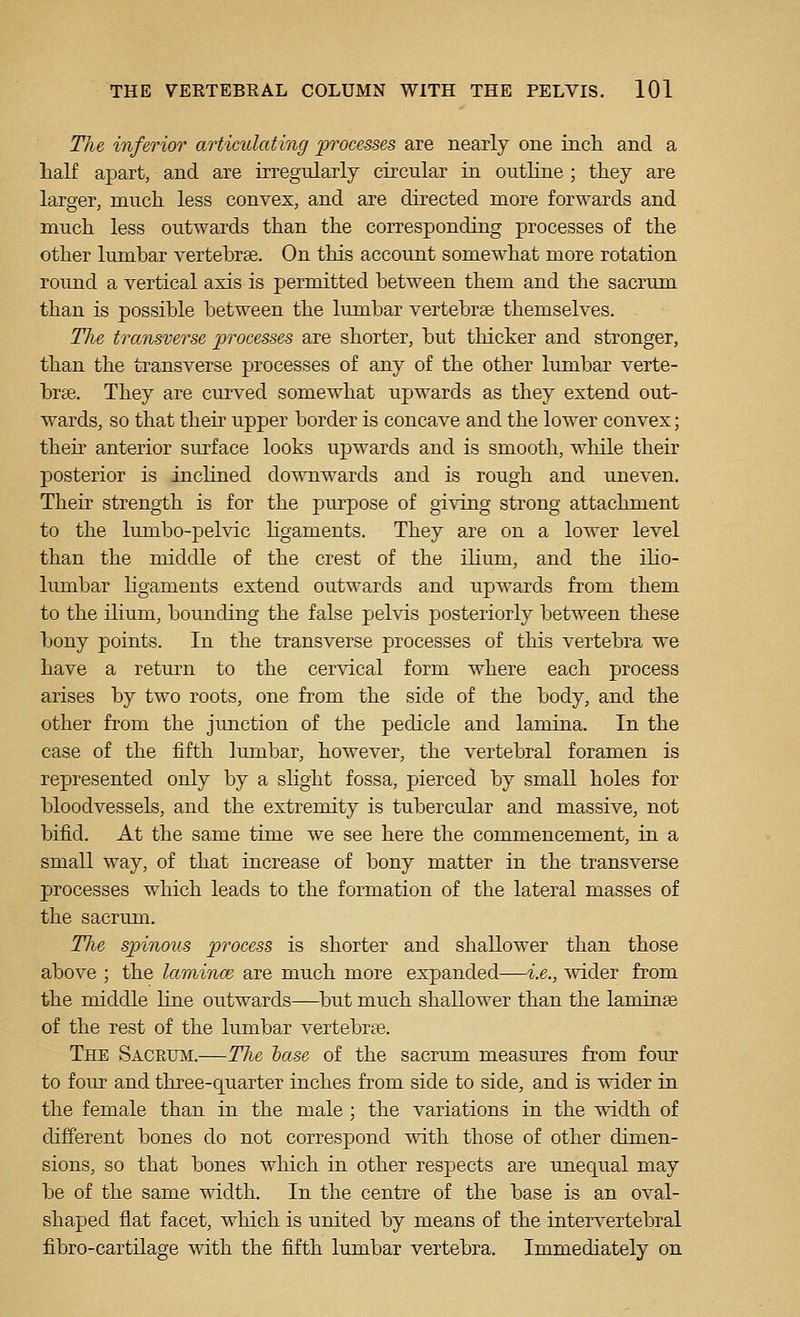 The inferior articulating processes are nearly one incli and a half apart, and are irregularly circular in outKne ; they are larger, much less convex, and are directed more forwards and much less outwards than the corresponding processes of the other lumbar vertebrse. On this account somewhat more rotation round a vertical axis is permitted between them and the sacrum than is possible between the lumbar vertebrae themselves. The transverse processes are shorter, but thicker and stronger, than the transverse processes of any of the other lumbar verte- brae. They are curved somewhat upwards as they extend out- wards, so that their upper border is concave and the lower convex; then- anterior surface looks upwards and is smooth, while their posterior is inclined downwards and is rough and uneven. Their strength is for the purpose of giving strong attachment to the lumbo-pelvic hgaments. They are on a lower level than the middle of the crest of the ilium, and the iho- lumbar Hgaments extend outwards and upwards from them to the ilium, bounding the false pelvis posteriorly between these bony points. In the transverse processes of this vertebra we have a return to the cervical form where each process arises by two roots, one from the side of the body, and the other from the junction of the pedicle and lamina. In the case of the fifth lumbar, however, the vertebral foramen is represented only by a shght fossa, pierced by small holes for bloodvessels, and the extremity is tubercular and massive, not bifid. At the same time we see here the cormnencement, in a small way, of that increase of bony matter in the transverse processes which leads to the formation of the lateral masses of the sacrum. The spinous process is shorter and shallower than those above ; the lamince are much more expanded—i.e., wider from the middle line outwards—but much shallower than the lamina of the rest of the lumbar vertebrae. The Saceum.—The base of the sacrum measures from four to four and three-quarter inches from side to side, and is wider in the female than in the male ; the variations in the width of different bones do not correspond with those of other dimen- sions, so that bones which in other respects are unequal may be of the same width. In the centre of the base is an oval- shaped flat facet, which is united by means of the intervertebral fibro-cartilage mth the fifth lumbar vertebra. Immediately on