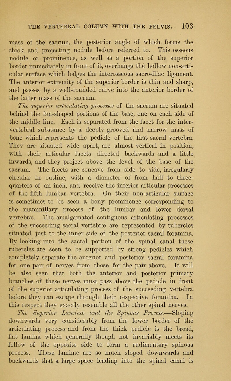 mass of the sacrum, the posterior angle of which forms the tliick and projecting nodule before referred to. This osseous nodule or prominence, as weU as a portion of the superior border immediately in front of it, overhangs the hollow non-arti- cular surface which lodges the interosseous sacro-ihac ligament. The anterior extremity of the superior border is tliin and sharp, and passes by a weU-rounded curve into the anterior border of the latter mass of the sacrum. The superior articulating processes of the sacrum are situated behind the fan-shaped portions of the base, one on each side of the middle line. Each is separated from the facet for the inter- vertebral substance by a deeply gTOOved and narrow mass of bone which represents the pedicle of the first sacral vertebra. They are situated wide apart, are almost vertical in position, with their articular facets directed backwards and a little inwards, and they project above the level of the base of the sacrum. The facets are concave from side to side, irregularly circular in outline, with a diameter of from half to three- quarters of an inch, and receive the inferior articular processes of the fifth lumbar vertebra. On their non-articular surface is sometimes to be seen a bony prominence corresponding to the mammillary process of the lumbar and lower dorsal vertebrae. The amalgamated contiguous articulating processes of the succeeding sacral vertebrae are represented by tubercles situated just to the inner side of the posterior sacral foramina. By looking into the sacral portion of the spinal canal these tubercles are seen to be supported by strong pedicles which completely separate the anterior and posterior sacral foramina for one pair of nerves from those for the pair above. It will be also seen that both the anterior and posterior primary branches of these nerves must pass above the pedicle in front of the superior articulating process of the succeeding vertebra before they can escape through their respective foramina. In tliis respect they exactly resemble alL the other spinal nerves. Hie Superior Laminae and the Spinous Process.—Sloping downwards very considerably from the lower border of the articulating process and from the thick pedicle is the broad, flat lamina which generally though not invariably meets its fellow of the opposite side to form a rudimentary spinous process. These laminse are so much sloped downwards and backwards that a large space leading into the spinal canal is