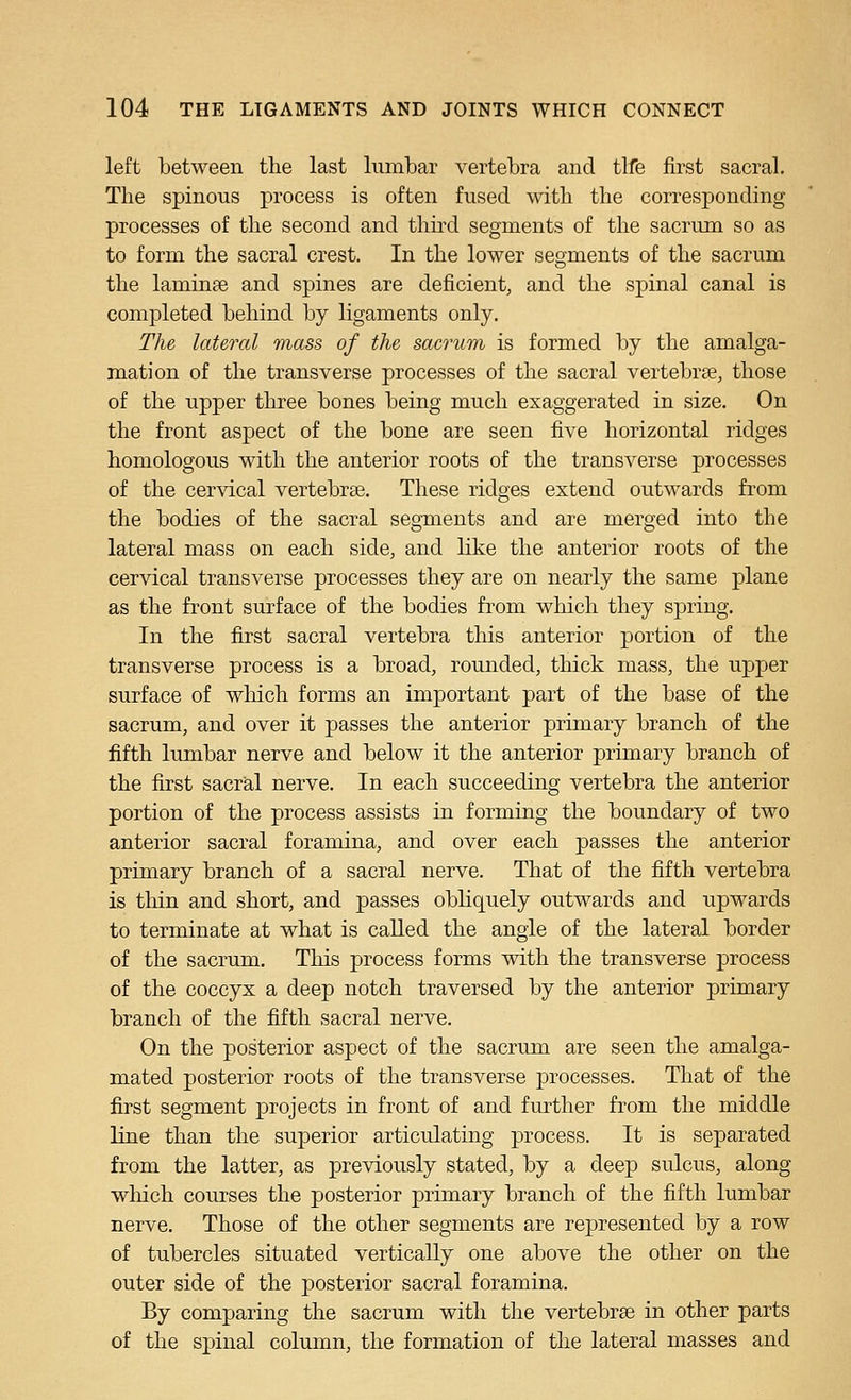 left between the last lumbar vertebra and tlfe first sacral. The spinous process is often fused with the corresponding processes of the second and third segments of the sacrum so as to form the sacral crest. In the lower segments of the sacrum the laminae and spines are deficient, and the spinal canal is completed behind by ligaments only. The lateral mass of the sacrutn is formed by the amalga- mation of the transverse processes of the sacral vertebrae, those of the upper three bones being much exaggerated in size. On the front aspect of the bone are seen five horizontal ridges homologous with the anterior roots of the transverse processes of the cer\dcal vertebrae. These ridges extend outwards from the bodies of the sacral segments and are merged into the lateral mass on each side, and like the anterior roots of the cervical transverse processes they are on nearly the same plane as the front surface of the bodies from which they spring. In the first sacral vertebra this anterior portion of the transverse process is a broad, rounded, thick mass, the upper surface of wliich forms an important part of the base of the sacrum, and over it passes the anterior primary branch of the fifth lumbar nerve and below it the anterior primary branch of the first sacral nerve. In each succeeding vertebra the anterior portion of the process assists in forming the boundary of two anterior sacral foramina, and over each passes the anterior primary branch of a sacral nerve. That of the fifth vertebra is thin and short, and passes obliquely outwards and upwards to terminate at what is caUed the angle of the lateral border of the sacrum. This process forms with the transverse process of the coccyx a deep notch traversed by the anterior primary branch of the fifth sacral nerve. On the posterior aspect of the sacrum are seen the amalga- mated posterior roots of the transverse processes. That of the first segment projects in front of and frnther from the middle line than the superior articulating process. It is separated from the latter, as previously stated, by a deep sulcus, along which courses the posterior primary branch of the fifth lumbar nerve. Those of the other segments are represented by a row of tubercles situated vertically one above the other on the outer side of the posterior sacral foramina. By comparing the sacrum with the vertebrae in other parts of the spinal column, the formation of the lateral masses and