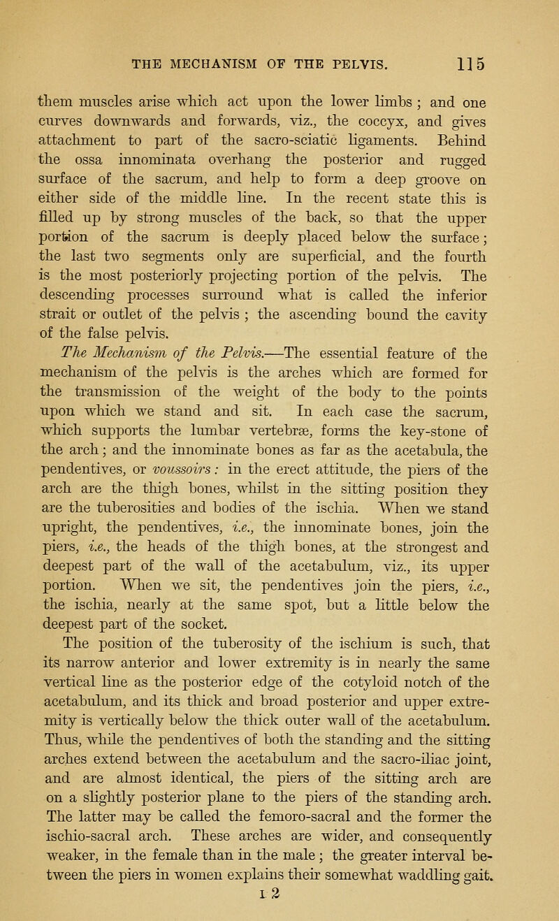 tliem muscles arise whicli act upon the lower limbs ; and one curves downwards and forwards, viz., the coccyx, and gives attachment to part of the sacro-sciatic ligaments. Behind the ossa innominata overhang the posterior and rugged surface of the sacrum, and help to form a deep gToove on either side of the middle line. In the recent state this is filled up by strong muscles of the back, so that the upper portion of the sacrum is deeply placed below the surface; the last two segments only are superficial, and the fourth is the most posteriorly projecting portion of the pelvis. The descending processes surround what is called the inferior strait or outlet of the pelvis ; the ascending bound the cavity of the false pelvis. The Mechanism of the Pelvis.—The essential feature of the mechanism of the pehds is the arches which are formed for the transmission of the weight of the body to the points upon which we stand and sit. In each case the sacrum, which supports the lumbar vertebrae, forms the key-stone of the arch; and the innominate bones as far as the acetabula, the pendentives, or voussoirs: in the erect attitude, the piers of the arch are the thigh bones, whilst in the sitting position they are the tuberosities and bodies of the ischia. When we stand upright, the pendentives, i.e., the innominate bones, join the piers, i.e., the heads of the thigh bones, at the strongest and deepest part of the waU of the acetabulum, viz., its upper portion. When we sit, the pendentives join the piers, i.e., the ischia, nearly at the same spot, but a little below the deepest part of the socket. The position of the tuberosity of the ischiiun is such, that its narrow anterior and lower extremity is in nearly the same vertical line as the posterior edge of the cotyloid notch of the acetabulum, and its thick and broad posterior and upper extre- mity is vertically below the thick outer wall of the acetabulum. Thus, while the pendentives of both the standing and the sitting arches extend between the acetabuliun and the sacro-iliac joint, and are almost identical, the piers of the sitting arch are on a slightly posterior plane to the piers of the standing arch. The latter may be called the femoro-sacral and the former the ischio-sacral arch. These arches are wider, and consequently weaker, in the female than in the male ; the greater interval be- tween the piers in women explains their somewhat waddling gait. I 3