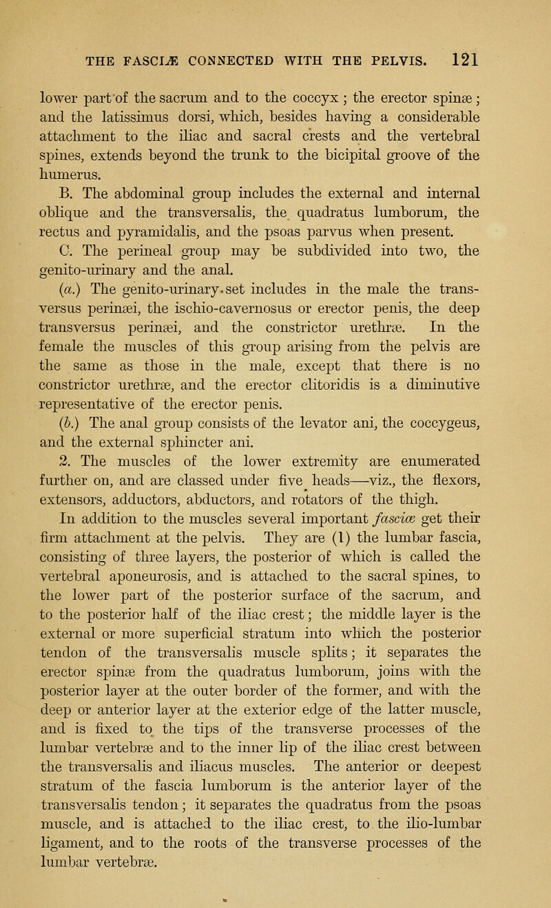 lower part'of the sacnim and to the coccyx ; the erector spinse; and the latissimus dorsi, which, besides having a considerable attachment to the iliac and sacral crests and the vertebral spines, extends beyond the trunk to the bicipital groove of the humerus. B. The abdominal group includes the external and internal oblique and the transversalis, the quadratus lumborum, the rectus and pyramidalis, and the psoas parvus when present. C. The perineal group may be subdivided into two, the genito-urinary and the anal. (a.) The genito-urinary. set includes in the male the trans- versus perinsei, the ischio-cavernosus or erector penis, the deep transversus perinsei, and the constrictor urethrse. In the female the muscles of this gToup arising from the pelvis are the same as those in the male, except that there is no constrictor urethrae, and the erector clitoridis is a diminutive representative of the erector penis. (6.) The anal group consists of the levator ani, the coccygeus, and the external sphincter ani. 2. The muscles of the lower extremity are enumerated further on, and are classed under five heads—viz., the flexors, extensors, adductors, abductors, and rotators of the thigh. In addition to the muscles several important fascice get their firm attachment at the pelvis. They are (1) the lumbar fascia, consisting of three layers, the posterior of which is called the vertebral aponeurosis, and is attached to the sacral spines, to the lower part of the posterior surface of the sacrum, and to the posterior half of the iliac crest; the middle layer is the external or more superficial stratum into which the posterior tendon of the transversalis muscle splits; it separates the erector spinas from the quadratus lumborum, joins with the posterior layer at the outer border of the former, and with the deep or anterior layer at the exterior edge of the latter muscle, and is fixed to_ the tips of the transverse processes of the lumbar vertebrae and to the inner lip of the iliac crest between the transversalis and iliacus mascles. The anterior or deepest stratum of the fascia lumborum is the anterior layer of the transversalis tendon; it separates the quadratus from the psoas muscle, and is attached to the iliac crest, to the ilio-lumbar ligament, and to the roots of the transverse processes of the lumbar vertebrae.