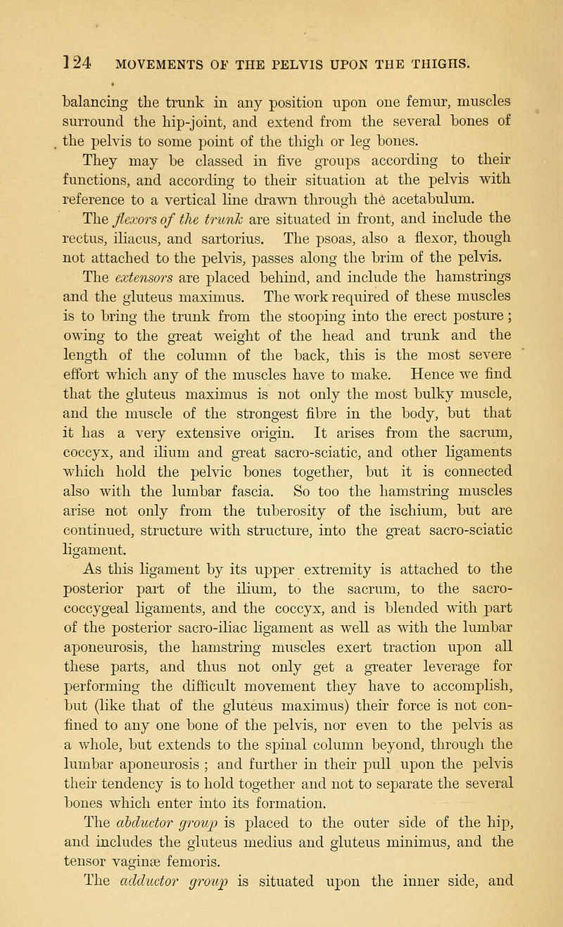 balancing the trunk in any position upon one femur, muscles surround the hip-joint, and extend from the several bones of the pelvis to some point of the thigh or leg bones. They may be classed in five groups according to their functions, and according to their situation at the pelvis with reference to a vertical line dra^m through the acetabulum. The Jiexors of the trunk are situated in front, and include the rectus, iliacus, and sartorius. The psoas, also a flexor, though not attached to the pelvis, passes along the brim of the pelvis. The extensors are placed behind, and include the hamstrings and the gluteus maximus. The work required of these muscles is to bring the trunk from the stooping into the erect posture; owing to the great weight of the head and trunk and the length of the column of the back, this is the most severe effort which any of the muscles have to make. Hence we find that the gluteus maximus is not only the most biQky muscle, and the muscle of the strongest fibre in the body, but that it has a very extensive origin. It arises from the sacrum, coccyx, and ilium and great sacro-sciatic, and other ligaments which hold the pelvic bones together, but it is connected also with the lumbar fascia. So too the hamstring muscles arise not only from the tuberosity of the ischium, but are continued, structure with structure, into the great sacro-sciatic ligament. As this ligament by its upper extremity is attached to the posterior part of the ilium, to the sacrum, to the sacro- coccygeal ligaments, and the coccyx, and is blended with part of the posterior sacro-iliac ligament as well as with the Imnbar aponeurosis, the hamstring muscles exert traction upon all these parts, and thus not only get a greater leverage for performing the difiicult movement they have to accomplish, but (like that of the gluteus maximus) their force is not con- fined to any one bone of the pelvis, nor even to the pelvis as a whole, but extends to the spinal column beyond, through the lumbar aponeurosis ; and further in their pull upon the pelvis their tendency is to hold together and not to separate the several bones which enter into its formation. The abductor group is placed to the outer side of the hip, and includes the gluteus medius and gluteus minimus, and the tensor vaginae femoris. The adductor group is situated upon the inner side, and