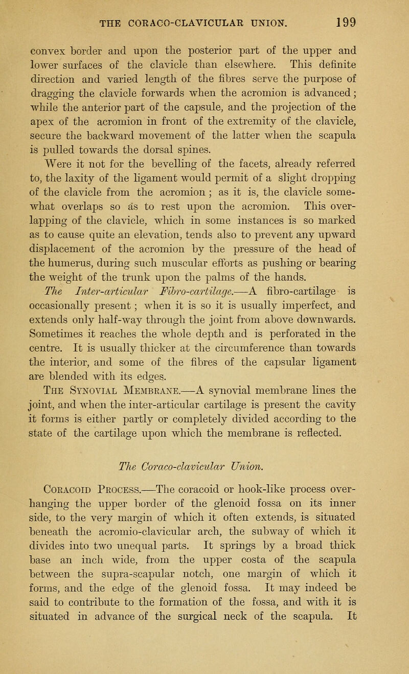 convex border and upon the posterior part of the upper and lower surfaces of the clavicle than elsewhere. TMs definite direction and varied length of the fibres serve the purpose of dragging the clavicle forwards when the acromion is advanced; while the anterior part of the capsule, and the projection of the apex of the acromion in front of the extremity of the clavicle, secure the backward movement of the latter when the scapula is pulled towards the dorsal spines. Were it not for the bevelling of the facets, abeady referred to, the laxity of the ligament would permit of a slight di^opping of the clavicle from the acromion; as it is, the clavicle some- what overlaps so as to rest upon the acromion. This over- lapping of the clavicle, which in some instances is so marked as to cause quite an elevation, tends also to prevent any upward displacement of the acromion by the pressure of the head of the humerus, during such muscular efforts as pushing or bearing the weight of the trunk upon the palms of the hands. The Inter-articular Fihro-cartilage.—A fibro-cartilage is occasionally present; when it is so it is usually imperfect, and extends only half-way through the joint from above downwards. Sometimes it reaches the whole depth and is perforated in the centre. It is usually thicker at the circumference than towards the interior, and some of the fibres of the capsular ligament are blended with its edges. The Synovial Membkane.—A synovial membrane lines the joint, and when the inter-articular cartilage is present the cavity it forms is either partly or completely divided according to the state of the cartilage upon which the membrane is reflected. The Coraco-clavimdar Union. CoEACOiD Process.—The coracoid or hook-like process over- hanging the upper border of the glenoid fossa on its inner side, to the very margin of which it often extends, is situated beneath the acromio-clavicular arch, the subway of which it divides into two unequal parts. It springs by a broad thick base an inch wide, from the upper costa of the scapula between the supra-scapular notch, one margin of which it forms, and the edge of the glenoid fossa. It may indeed be said to contribute to the formation of the fossa, and with it is situated in advance of the surgical neck of the scapula. It