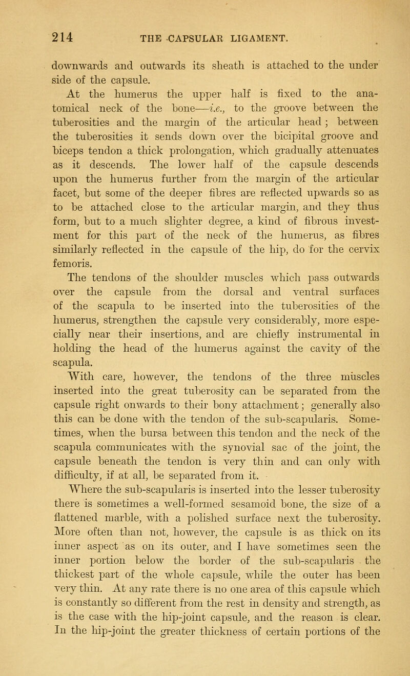 downwards and outwards its sheath is attached to the under side of the capsule. At the humerus the upper half is fixed to the ana- tomical neck of the bone—i.e., to the gi'oove between the tuberosities and the margin of the articular head ; between the tuberosities it sends down over the bicipital groove and biceps tendon a thick prolongation, which gradually attenuates as it descends. The lower half of the capsule descends upon the humerus further from the margin of the articular facet, but some of the deeper fibres are reflected upwards so as to be attached close to the articular margin, and they thus form, but to a much slighter degree, a kind of fibrous invest- ment for this part of the neck of the humerus, as fibres similarly reflected in the capsule of the hip, do for the cervix femoris. The tendons of the shoulder muscles which pass outwards over the capsule from the dorsal and ventral surfaces of the scapula to be inserted into the tuberosities of the humerus, strengthen the capsule very considerably, more espe- cially near their insertions, and are cliiefly instrumental in holding the head of the humerus against the cavity of the scapula. With care, however, the tendons of the three muscles inserted into the gTeat tuberosity can be separated from the capsule right onwards to their bony attachment; generally also this can be done with the tendon of the sub-scapularis. Some- times, when the bursa between this tendon and the neck of the scapula communicates with the synovial sac of the joint, the capsule beneath the tendon is very thin and can only with difiiculty, if at all, be separated from it. Where the sub-scapularis is inserted into the lesser tuberosity there is sometimes a well-formed sesamoid bone, the size of a flattened marble, with a polished surface next the tuberosity. More often than not, however, the capsule is as thick on its inner aspect as on its outer, and I have sometimes seen the inner portion below the border of the sub-scapularis the thickest part of the whole capsule, while the outer has been very thin. At any rate there is no one area of tliis capsule which is constantly so different from the rest in density and strength, as is the case with the hip-joint capside, and the reason is clear. In the hip-joint the greater thickness of certain portions of the