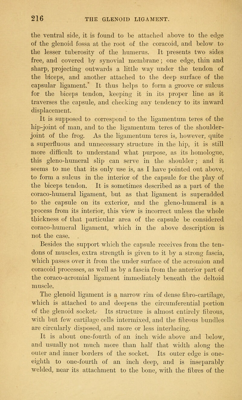 the ventral side, it is found to he attached above to the edge of the glenoid fossa at the root of the coracoid, and below to the lesser tuberosity of the humerus. It presents two sides free, and covered by synovial membrane; one edge, tliin and sharp, projecting outwards a little way under the tendon of the biceps, and another attached to the deep surface of the capsular ligament. It thus lielps to form a groove or sulcus for the biceps tendon, keeping it in its proper line as it traverses the capsule, and checking any tendency to its inward displacement. It is supposed to correspond to the ligamentum teres of the hip-joint of man, and to the ligamentum teres of the shoulder- joint of the fi'og. As the ligamentum teres is, however, quite a superfluous and unnecessary structure in the hip, it is still more difficult to understand what pm-pose, as its homologue, this gieno-hmneral slip can serve in the shoulder; and it seems to me that its only use is, as I have pointed out above, to form a sulcus in the interior of the capsule for the play of the biceps tendon. It is sometimes described as a part of the coraco-humeral ligament, but as that ligament is superadded to the capsule on its exterior, and the gleno-humeral is a process from its interior, this view is incorrect unless the whole thickness of that particular area of the capsule be considered coraco-humeral ligament, which in the above description is not the case. Besides the support which the capsule receives from the ten- dons of muscles, extra strength is given to it by a strong fascia, which passes over it from the under surface of the acromion and coracoid processes, as well as by a fascia from the anterior part of the coraco-acromial ligament immediately beneath the deltoid muscle. The glenoid ligament is a narrow rim of dense fibro-cartilage, which is attached to and deepens the circumferential portion of the glenoid socket.- Its structure is almost entirely fibrous, with but few cartilage cells intermixed, and the fibrous bundles are chcularly disposed, and more or less interlacing. It is about one-fourth of an inch wide above and below, and usually not much more than half that width along the outer and inner borders of the socket. Its outer edge is one- eighth to one-fom-th of an inch deep, and is inseparably welded, near its attachment to the bone, with the fibres of the