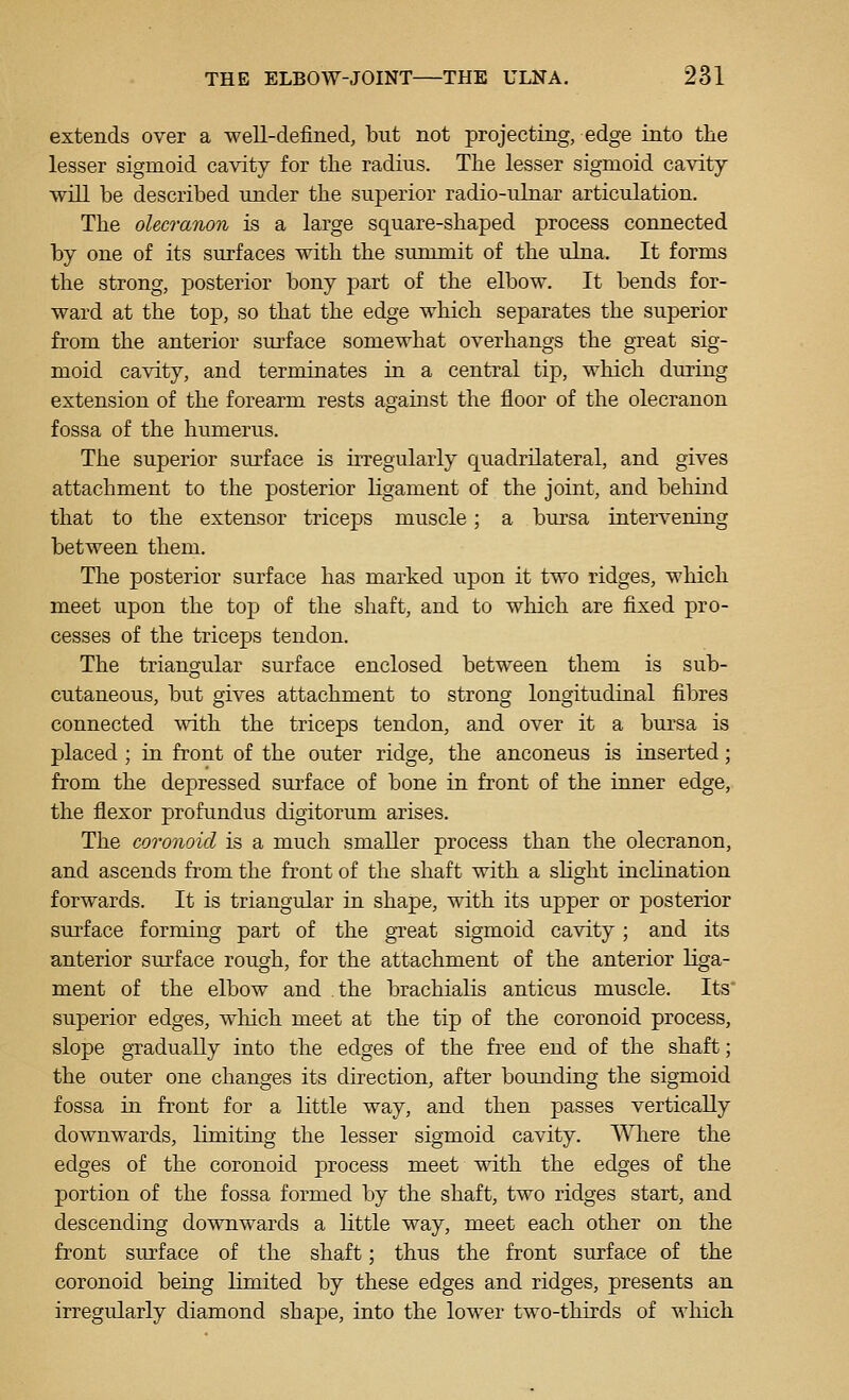 extends over a well-defined, but not projecting, edge into the lesser sigmoid cavity for the radius. The lesser sigmoid cavity will be described under the superior radio-ulnar articulation. The oUcranon is a large square-shaped process connected by one of its surfaces with the summit of the ulna. It forms the strong, posterior bony part of the elbow. It bends for- ward at the top, so that the edge which separates the superior from the anterior surface somewhat overhangs the great sig- moid cavity, and terminates in a central tip, which during extension of the forearm rests against the floor of the olecranon fossa of the humerus. The superior surface is irregularly quadrilateral, and gives attachment to the posterior ligament of the joint, and behind that to the extensor triceps muscle; a bursa intervening between them. The posterior surface has marked upon it two ridges, which meet upon the top of the shaft, and to which are fix:ed pro- cesses of the triceps tendon. The triangular surface enclosed between them is sub- cutaneous, but gives attachment to strong longitudinal fibres connected with the triceps tendon, and over it a bursa is placed; in front of the outer ridge, the anconeus is inserted; from the depressed surface of bone in front of the inner edge, the flexor profundus digitorum arises. The coroiioid is a much smaller process than the olecranon, and ascends from the front of the shaft with a slight inclination forwards. It is triangular in shape, with its upper or posterior surface forming part of the gTeat sigmoid cavity; and its anterior surface rough, for the attachment of the anterior liga- ment of the elbow and the brachialis anticus muscle. Its* superior edges, which meet at the tip of the coronoid process, slope gradually into the edges of the free end of the shaft; the outer one changes its direction, after bounding the sigmoid fossa in front for a little way, and then passes vertically downwards, limiting the lesser sigmoid cavity. Wliere the edges of the coronoid process meet with the edges of the portion of the fossa formed by the shaft, two ridges start, and descending downwards a little way, meet each other on the front surface of the shaft; thus the front surface of the coronoid being limited by these edges and ridges, presents an irregularly diamond shape, into the lower two-thirds of which