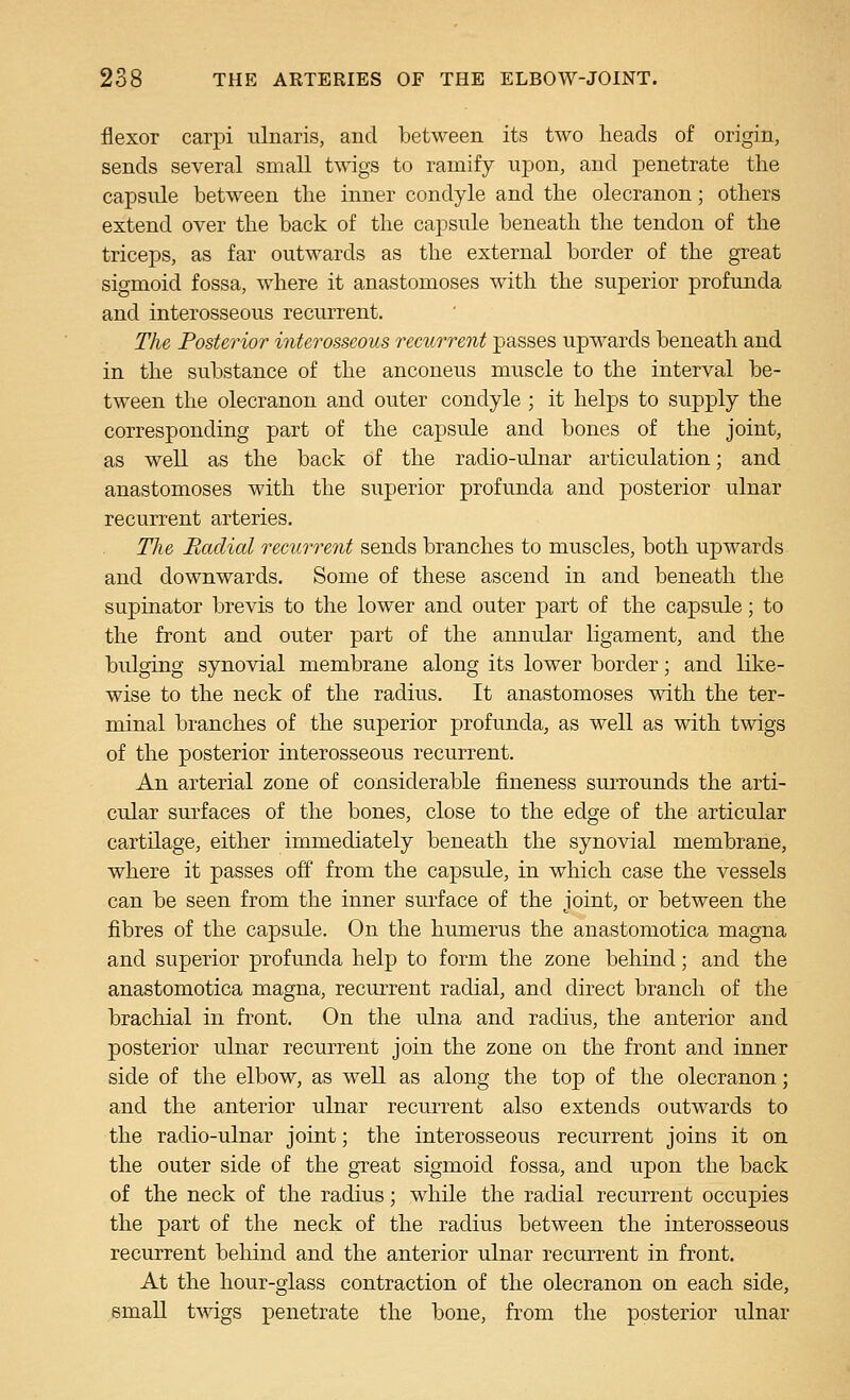 flexor carpi iilnaris, and between its two heads of origin, sends several small twigs to ramify upon, and penetrate the capsule between the inner condyle and the olecranon; others extend over the back of the capsule beneath the tendon of the triceps, as far outwards as the external border of the great sigmoid fossa, where it anastomoses with the superior profunda and interosseous recurrent. The Posterior interosseous recurrent passes upwards beneath and in the substance of the anconeus muscle to the interval be- tween the olecranon and outer condyle ; it helps to supply the corresponding part of the capsule and bones of the joint, as well as the back of the radio-ulnar articulation; and anastomoses with the superior profunda and posterior ulnar recurrent arteries. The Radial recurrent sends branches to muscles, both upwards and downwards. Some of these ascend in and beneath the supinator brevis to the lower and outer part of the capsule; to the front and outer part of the annular ligament, and the bulging synovial membrane along its lower border; and like- wise to the neck of the radius. It anastomoses with the ter- minal branches of the superior profunda, as well as with twigs of the posterior interosseous recurrent. An arterial zone of considerable fineness surrounds the arti- cular surfaces of the bones, close to the edge of the articular cartilage, either immediately beneath the synovial membrane, where it passes off from the capsule, in which case the vessels can be seen from the inner siu-face of the joint, or between the fibres of the capsule. On the humerus the anastomotica magna and superior profunda help to form the zone behind; and the anastomotica magna, reciUTent radial, and direct branch of the brachial in front. On the ulna and radius, the anterior and posterior ulnar recurrent join the zone on the front and inner side of the elbow, as well as along the top of the olecranon; and the anterior ulnar recurrent also extends outwards to the radio-ulnar joint; the interosseous recurrent joins it on the outer side of the great sigmoid fossa, and upon the back of the neck of the radius; while the radial recurrent occupies the part of the neck of the radius between the interosseous recurrent behind and the anterior ulnar recurrent in front. At the hour-glass contraction of the olecranon on each side, small twigs penetrate the bone, fi'om the posterior ulnar