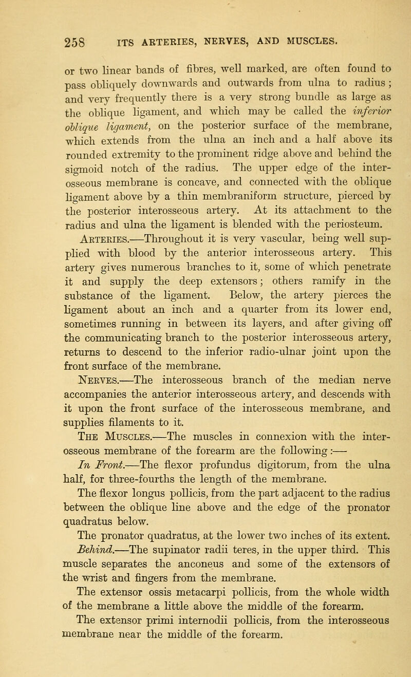 or two linear bands of fibres, well marked, are often found to pass obliquely downwards and outwards from ulna to radius ; and very frequently there is a very strong bundle as large as the obhque ligament, and wliich may be called the inferior oblique ligainent, on the posterior surface of the membrane, which extends from the ulna an inch and a half above its rounded extremity to the prominent ridge above and behind the sio-moid notch of the radius. The upper edge of the inter- osseous membrane is concave, and connected with the oblique Ho-ament above by a thin membraniform structure, pierced by the posterior interosseous artery. At its attachment to the radius and ulna the ligament is blended with the periosteum. Arteeies.—Throughout it is very vascular, being well sup- plied with blood by the anterior interosseous artery. This artery gives numerous branches to it, some of which penetrate it and supply the deep extensors; others ramify in the substance of the ligament. Below, the artery pierces the ligament about an inch and a quarter from its lower end, sometimes running in between its layers, and after giving off the communicating branch to the posterior interosseous artery, returns to descend to the inferior radio-ulnar joint upon the front surface of the membrane. Neeves.—The interosseous branch of the median nerve accompanies the anterior interosseous artery, and descends with it upon the front surface of the interosseous membrane, and supplies filaments to it. The Muscles.—The muscles in connexion with the inter- osseous membrane of the forearm are the following:— In Front.—The flexor profundus digitorum, from the ulna half, for three-fourths the length of the membrane. The flexor longus pollicis, from the part adjacent to the radius between the oblique line above and the edge of the pronator quadratus below. The pronator quadratus, at the lower two inches of its extent. Behind.—The supinator radii teres, in the upper third. This muscle separates the anconeus and some of the extensors of the wrist and fingers from the membrane. The extensor ossis metacarpi pollicis, from the whole width of the membrane a little above the middle of the forearm. The extensor primi internodii pollicis, from the interosseous membrane near the middle of the forearm.