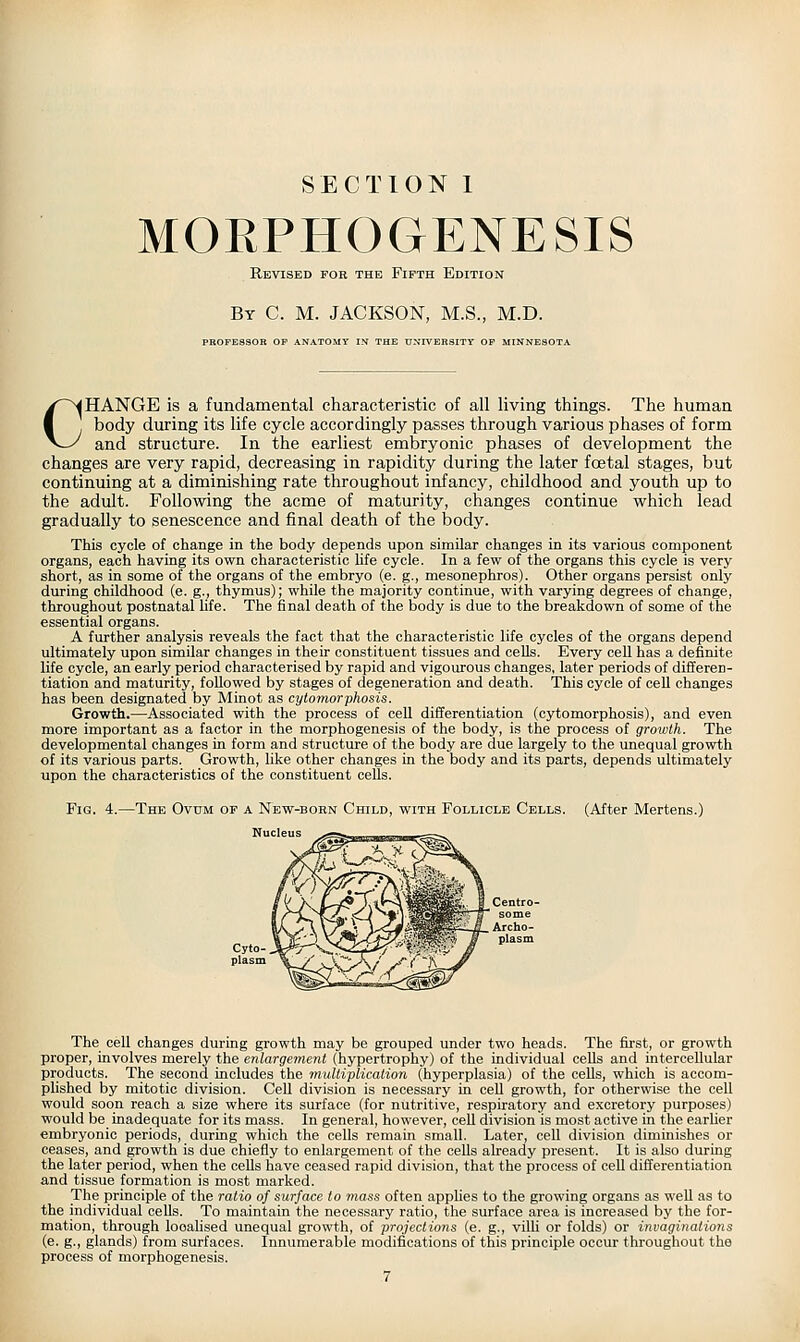 SECTION 1 MOEPHOGENESIS Revised for the Fifth Edition By C. M. JACKSON, M.S., M.D. PROFESSOR OF ANATOMY IN THE tJNIVERaiTY OF MIN CHANGE is a fundamental characteristic of all living things. The human body during its life cycle accordingly passes through various phases of form and structure. In the earliest embryonic phases of development the changes are very rapid, decreasing in rapidity during the later foetal stages, but continuing at a diminishing rate throughout infancy, childhood and youth up to the adult. Following the acme of maturity, changes continue which lead gradually to senescence and final death of the body. This cycle of change in the body depends upon similar changes in its various component organs, each having its own characteristic hfe cycle. In a few of the organs this cycle is very short, as in some of the organs of the embryo (e. g., mesonephros). Other organs persist only during childhood (e. g., thymus); while the majority continue, with varying degrees of change, throughout postnatal life. The final death of the body is due to the breakdown of some of the essential organs. A further analysis reveals the fact that the characteristic life cycles of the organs depend ultimately upon similar changes in their constituent tissues and cells. Every ceU has a definite life cycle, an early period characterised by rapid and vigourous changes, later periods of differen- tiation and maturity, followed by stages of degeneration and death. This cycle of cell changes has been designated by Minot as cytomorphosis. Growth.—Associated with the process of cell differentiation (cytomorphosis), and even more important as a factor in the morphogenesis of the body, is the process of growth. The developmental changes in form and structure of the body are due largely to the unequal growth of its various parts. Growth, like other changes in the body and its parts, depends ultimately upon the characteristics of the constituent cells. Fig. 4.—The Ovum op a New-bohn Child, with Follicle Cells. (After Mertens.) Nucleus The cell changes during growth may be grouped under two heads. The first, or growth proper, involves merely the enlargement (hypertrophy) of the individual cells and intercellular products. The second includes the muUiplication (hyperplasia) of the cells, which is accom- plished by mitotic division. Cell division is necessary in ceU growth, for otherwise the cell would soon reach a size where its surface (for nutritive, respiratory and excretory purposes) would be inadequate for its mass. In general, however, cell division is most active in the earher embryonic periods, during which the cells remain small. Later, cell division diminishes or ceases, and growth is due chiefly to enlargement of the cells already present. It is also during the later period, when the cells have ceased rapid division, that the process of cell differentiation and tissue formation is most marked. The principle of the ratio of surface to mass often apphes to the growing organs as well as to the individual cells. To maintain the necessary ratio, the surface area is increased by the for- mation, through localised unequal growth, of projections (e. g., villi or folds) or invaginations (e. g., glands) from surfaces. Innumerable modifications of this principle occur throughout the process of morphogenesis.