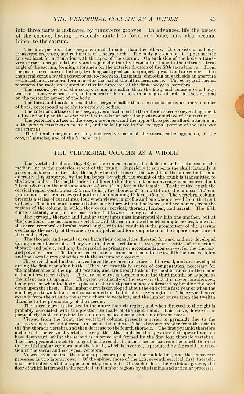 into three parts is indicated by transverse grooves. In advanced life the pieces of the coccyx, having previously united to form one bone, may also become joined to the sacrum. The first piece of the coccyx is much broader than the others. It consists of a body, transverse processes, and rudiments of a neural arch. The body presents on its upper surface an oval facet for articulation with the apex of the sacrum. On each side of the body a trans- verse process projects laterally and is joined either by ligament or bone to the inferior lateral angle of the sacrum, forming a foramen for the anterior division of the fifth sacral nerve. From the posterior surface of the body two long coccygeal cornua project upward and are connected to the sacral cornua by the posterior saero-coccygeal ligaments, enclosing on each side an aperture —the last intervertebral foramen—for the exit of the fifth sacral nerve. The coccygeal cornua represent the roots and superior articular processes of the first coccygeal vertebra. The second piece of the coccyx is much smaller than the first, and consists of a body, traces of transverse processes, and a neural arch, in the form of slight tubercles at the sides and on the posterior aspect of the body. The third and fourth pieces of the coccyx, smaller than the second piece, are mere nodules of bone, corresponding solely to vertebral bodies. The anterior surface of the coccyx gives attachment to the anterior sacro-coccygeal ligament and near the tip to the levator ani; it is in relation with the posterior surface of the rectum. The posterior surface of the coccyx is convex, and the upper three pieces afford attachment to the gluteus maximus on each side, and the last piece to the coccygeal portion of the sphincter ani externus. The lateral margins are thin, and receive parts of the sacro-seiatio ligaments, of the coccygei muscles, and of the levatores ani. THE VERTEBRAL COLUMN AS A WHOLE The vertebral column (fig. 48) is the central axis of the skeleton and is situated in the median line at the posterior aspect of the trunk. Superiorly it supports the skull; laterally it gives attachment to the ribs, through which it receives the weight of the upper limbs, and inferiorly it is supported by the hip bones, by which the weight of the trunk is transmitted to the lower limbs. Its length varies in different skeletons, but on an average it measures about 70 cm. (28 in.) in the male and about 2.5 cm. (1 in.) less in the female. To the entire length the cervical region contributes 12.5 cm. (5 in.), the thoracic 27.5 cm. (11 in.), the lumbar 17.5 cm. (7 in.), and the sacro-coccygeal portion the remaining 12.5 cm. (5 in.). The vertebral column presents a series of curvatures, four when viewed in profile and one when viewed from the front or back. The former are directed alternately forward and backward, and are named, from the regions of the column in which they occur, cervical, thoracic, lumbar, and sacral. The fifth curve is lateral, being in most cases directed toward the right side. The cervical, thoracic and lumbar curvatures pass imperceptibly into one another, but at the junction of the last lumbar vertebra with the sacrum a well-marked angle occurs, known as the sacro-vertebral or lumbo-sacral angle, with the result that the promontory of the sacrum overhangs the cavity of the minor (small) pelvis and forms a portion of the superior aperture of the small pelvis. The thoracic and sacral curves have their concavities directed forward and are developed during intra-uterine life. They are in obvious relation to two great cavities of the trunk, thoracic and pelvic, and may be regarded as primary or accommodation curves, for the thoracic and pelvic viscera. The thoracic curve extends from the second to the twelfth thoracic vertebra and the sacral curve coincides with the sacrum and coccyx. The cervical and lumbar curves have their convexities directed forward, and are developed during the first year after birth. They are essentially curves of compensation, necessary for the maintenance of the upright posture, and are brought about by modifications in the shape of the intervertebral discs. The cervical curve is formed about the third month, or as soon as the infant can sit upright. The great pecuharity of the curve is that it is never consolidated, being present when the body is placed in the erect position and obliterated by bending the head down upon the chest. The lumbar curve is developed about the end of the first year or when the child begins to walk, but is not consolidated until adult life. (Symington.) The cervical curve extends from the atlas to the second thoracic vertebra, and the lumbar curve from the twelfth thoracic to the promontory of the sacrum. The lateral curve is situated in the upper thoracic region, and when directed to the right is probably associated with the greater use made of the right hand. This curve, however, is particularly liable to modification in different occupations and in different races. Viewed from the front, the vertebral column presents a series of pyramids due to the successive increase and decrease in size of the bodies. These become broader from the axis to the first thoracic vertebra and then decrease to the fourth thoracic. The first pyramid therefore includes all the cervical vertebrae except the atlas, and has the apex directed upward and its base downward, whilst the second is inverted and formed by the first four thoracic vertebrae. The third pyramid, much the longest, is the result of the increase in size from the fourth thoracic to the fifth lumbar vertebra, and the fourth, which is inverted, is produced by the rapid contrae- ■ tion of the sacral and coccygeal vertebriE. Viewed from behind, the spinous processes project in the middle Hne, and the transverse processes as two lateral rows. Of the spines, those of the axis, seventh cervical, first thoracic, and the lumbar vertebrae appear most prominent. On each side is the vertebral groove, the floor of which is formed in the cervical and lumbar regions by the laminae and articular processes,