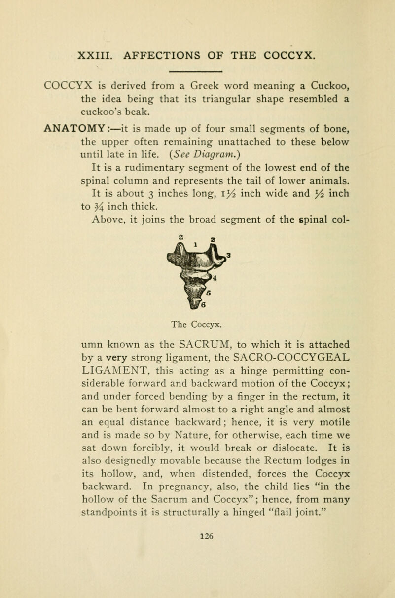 XXIII. AFFECTIONS OF THE COCCYX. COCCYX is derived from a Greek word meaning a Cuckoo, the idea being that its triangular shape resembled a cuckoo's beak. ANATOMY:—it is made up of four small segments of bone, the upper often remaining unattached to these below until late in life. (See Diagram.) It is a rudimentary segment of the lowest end of the spinal column and represents the tail of lower animals. It is about 3 inches long, iy2 inch wide and ^ inch to Y± inch thick. Above, it joins the broad segment of the 6pinal col- The Coccyx. umn known as the SACRUM, to which it is attached by a very strong ligament, the SACRO-COCCYGEAL LIGAMENT, this acting as a hinge permitting con- siderable forward and backward motion of the Coccyx; and under forced bending by a finger in the rectum, it can be bent forward almost to a right angle and almost an equal distance backward; hence, it is very motile and is made so by Nature, for otherwise, each time we sat down forcibly, it would break or dislocate. It is also designedly movable because the Rectum lodges in its hollow, and, when distended, forces the Coccyx backward. In pregnancy, also, the child lies in the hollow of the Sacrum and Coccyx; hence, from many standpoints it is structurally a hinged flail joint.