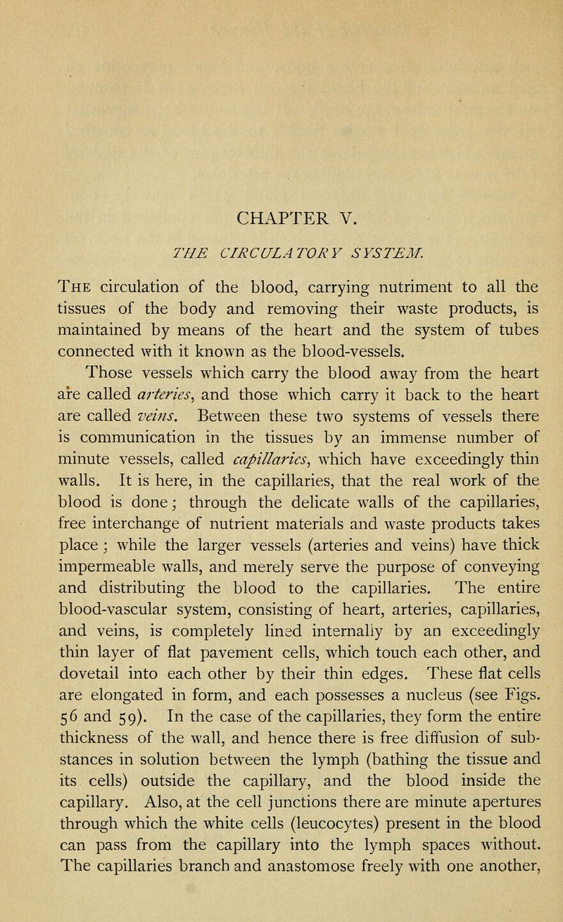 THE CIRCULATORY SYSTEM. The circulation of the blood, carrying nutriment to all the tissues of the body and removing their waste products, is maintained by means of the heart and the system of tubes connected with it known as the blood-vessels. Those vessels which carry the blood away from the heart are called arteries.^ and those which carry it back to the heart are called veins. Between these two systems of vessels there is communication in the tissues by an immense number of minute vessels, called capillaries., which have exceedingly thin walls. It is here, in the capillaries, that the real work of the blood is done; through the delicate walls of the capillaries, free interchange of nutrient materials and waste products takes place; while the larger vessels (arteries and veins) have thick impermeable walls, and merely serve the purpose of conveying and distributing the blood to the capillaries. The entire blood-vascular system, consisting of heart, arteries, capillaries, and veins, is completely lined internally by an exceedingly thin layer of flat pavement cells, which touch each other, and dovetail into each other by their thin edges. These flat cells are elongated in form, and each possesses a nucleus (see Figs. 56 and 59). In the case of the capillaries, they form the entire thickness of the wall, and hence there is free diffusion of sub- stances in solution between the lymph (bathing the tissue and its cells) outside the capillary, and the blood inside the capillary. Also, at the cell junctions there are minute apertures through which the white cells (leucocytes) present in the blood can pass from the capillary into the lymph spaces without. The capillaries branch and anastomose freely with one another,