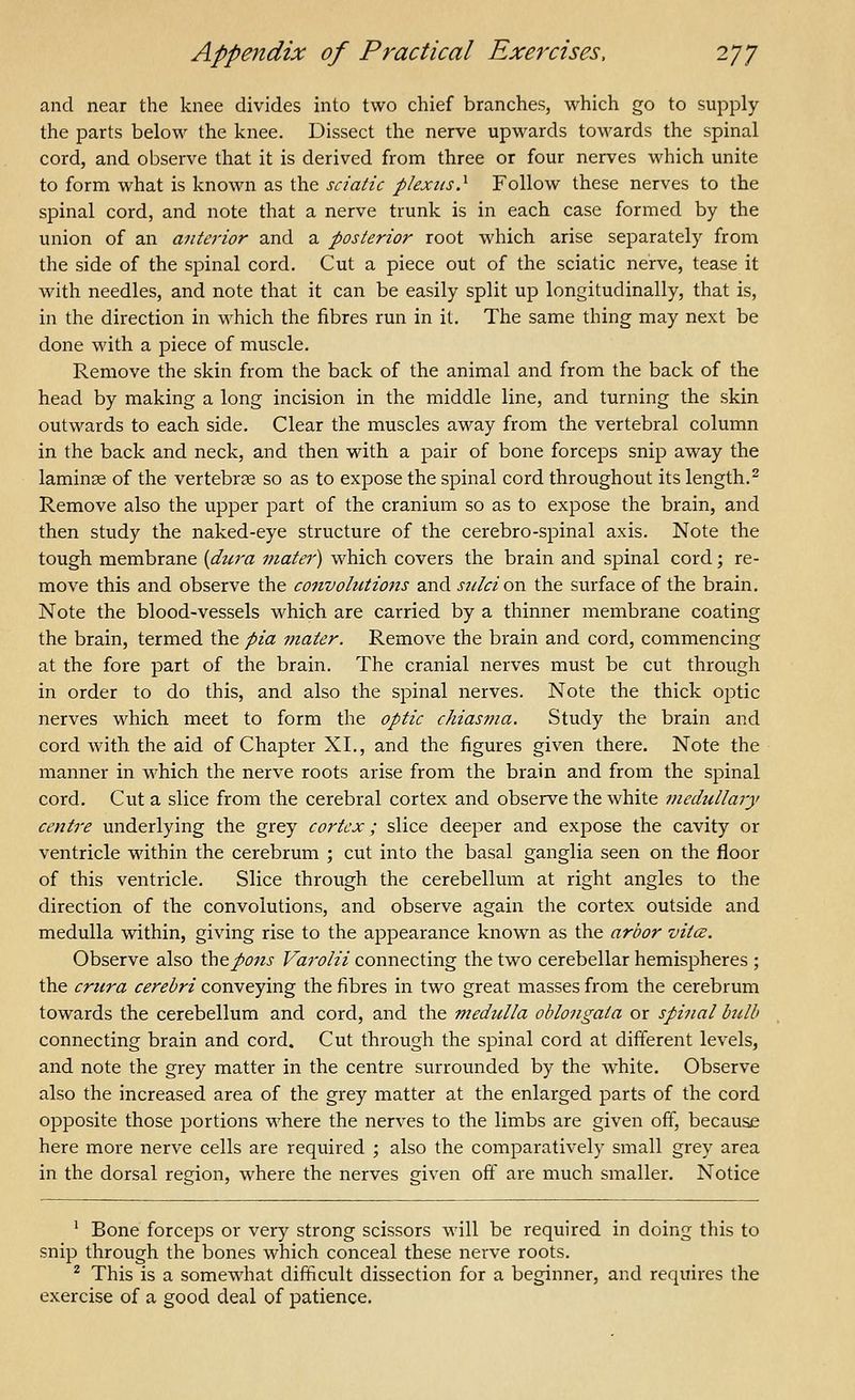 and near the knee divides into two chief branches, which go to supply the parts below the knee. Dissect the nerve upwards towards the spinal cord, and observe that it is derived from three or four nerves which unite to form what is known as the sciatic plexus} Follow these nerves to the spinal cord, and note that a nerve trunk is in each case formed by the union of an anterior and a posterior root which arise separately from the side of the spinal cord. Cut a piece out of the sciatic nerve, tease it with needles, and note that it can be easily split up longitudinally, that is, in the direction in which the fibres run in it. The same thing may next be done with a piece of muscle. Remove the skin from the back of the animal and from the back of the head by making a long incision in the middle line, and turning the skin outwards to each side. Clear the muscles away from the vertebral column in the back and neck, and then with a pair of bone forceps snip away the laminae of the vertebrae so as to expose the spinal cord throughout its length..^ Remove also the upper part of the cranium so as to expose the brain, and then study the naked-eye structure of the cerebro-spinal axis. Note the tough, membrane {dura mater) which covers the brain and spinal cord; re- move this and observe the convohitions and sulci ou the surface of the brain. Note the blood-vessels which are carried by a thinner membrane coating the brain, termed the pia mater. Remove the brain and cord, commencing at the fore part of the brain. The cranial nerves must be cut through in order to do this, and also the spinal nerves. Note the thick optic nerves which meet to form the optic chiasfjia. Study the brain and cord with the aid of Chapter XI., and the figures given there. Note the manner in which the nerve roots arise from the brain and from the spinal cord. Cut a slice from the cerebral cortex and observe the white medullary centre underlying the grey cortex; slice deeper and expose the cavity or ventricle within the cerebrum ; cut into the basal ganglia seen on the floor of this ventricle. Slice through the cerebellum at right angles to the direction of the convolutions, and observe again the cortex outside and medulla within, giving rise to the appearance known as the arbor vitce. Observe also the pons Varolii connecting the two cerebellar hemispheres ; the crura cerebri conveying the fibres in two great masses from the cerebrum towards the cerebellum and cord, and the medulla oblongata or spinal bulb connecting brain and cord. Cut through the spinal cord at different levels, and note the grey matter in the centre surrounded by the white. Observe also the increased area of the grey matter at the enlarged parts of the cord opposite those portions where the nerves to the limbs are given off, because here more nerve cells are required ; also the comparatively small grey area in the dorsal region, where the nerves given off are much smaller. Notice ' Bone forceps or very strong scissors will be required in doing this to snip through the bones which conceal these nerve roots. ^ This is a somewhat difficult dissection for a beginner, and requires the exercise of a good deal of patience.