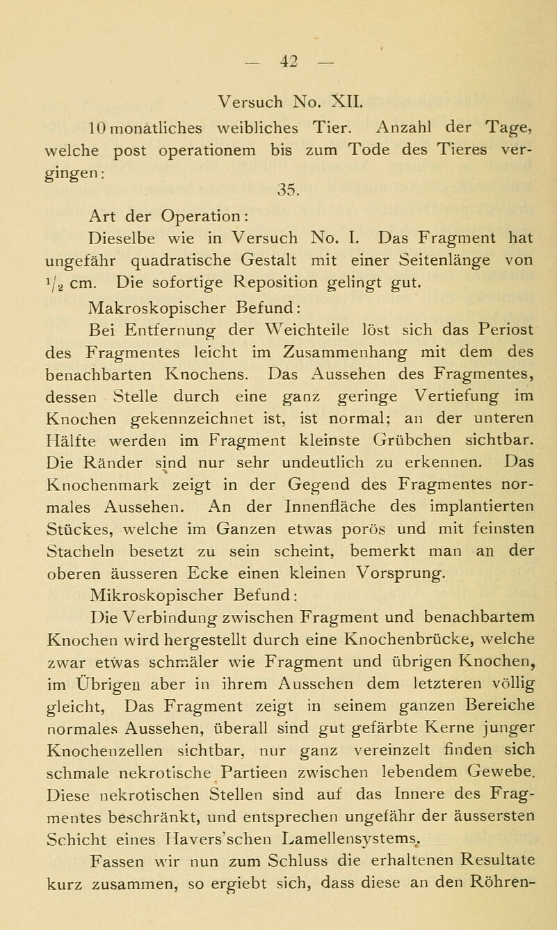 Versuch No. XII. 10 monatliches weibliches Tier. Anzahl der Tage, welche post operationem bis zum Tode des Tieres ver- gingen : 35. Art der Operation: Dieselbe wie in Versuch No. I. Das Fragment hat ungefähr quadratische Gestalt mit einer Seitenlänge von 1/2 cm. Die sofortige Reposition gelingt gut. Makroskopischer Befund: Bei Entfernung der Weichteile löst sich das Periost des Fragmentes leicht im Zusammenhang mit dem des benachbarten Knochens. Das Aussehen des Fragmentes, dessen Stelle durch eine ganz geringe Vertiefung im Knochen gekennzeichnet ist, ist normal; an der unteren Plälfte werden im Fragment kleinste Grübchen sichtbar. Die Ränder sind nur sehr undeutlich zu erkennen. Das Knochenmark zeigt in der Gegend des Fragmentes nor- males Aussehen. An der Innenfläche des implantierten Stückes, welche im Ganzen etwas porös und mit feinsten Stacheln besetzt zu sein scheint, bemerkt man an der oberen äusseren Ecke einen kleinen Vorsprung. Mikroskopischer Befund: Die Verbindung zwischen Fragment und benachbartem Knochen wird hergestellt durch eine Knochenbrücke, welche zwar etwas schmäler wie Fragment und übrigen Knochen, im Übrigen aber in ihrem Aussehen dem letzteren völlig gleicht, Das Fragment zeigt in seinem ganzen Bereiche normales Aussehen, überall sind gut gefärbte Kerne junger Knochenzellen sichtbar, nur ganz vereinzelt finden sich schmale nekrotische Partieen zwischen lebendem Gewebe. Diese nekrotischen Stellen sind auf das Innere des Frag- mentes beschränkt, und entsprechen ungefähr der äussersten Schicht eines Havers'schen Lamellensystems, Fassen wir nun zum Schluss die erhaltenen Resultate kurz zusammen, so ergiebt sich, dass diese an den Röhren-