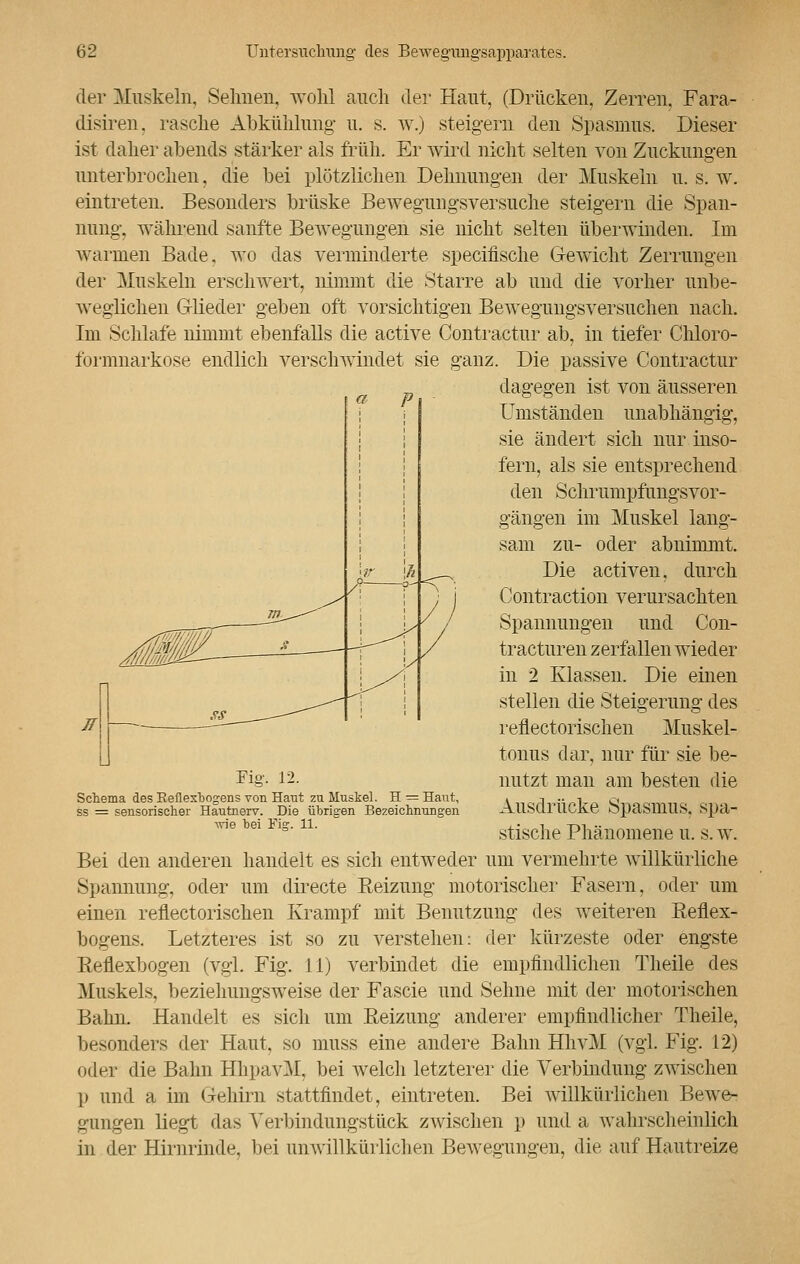 der Muskeln, Seimen, wohl auch der Haut, (Drücken, Zerren, Fara- disiren. rasche Abkühlung u. s. w.) steigern den Spasmus. Dieser ist daher abends stärker als früh. Er wird nicht selten von Zuckungen unterbrochen, die bei plötzlichen Dehnungen der Muskeln u. s. w. eintreten. Besonders brüske Bewegungsversuche steigern die Span- nung, während sanfte Bewegungen sie nicht selten überwinden. Im warmen Bade, wo das verminderte specifische Gewicht Zerrungen der Muskeln erschwert, nimmt die Starre ab und die vorher unbe- Aveglichen Glieder geben oft vorsichtigen Bewegungsversuchen nach. Im Schlafe nimmt ebenfalls die active Contractur ab, in tiefer Chloro- formnarkose endlich verschwindet sie ganz. Die passive Contractur dagegen ist von äusseren Umständen unabhängig, sie ändert sich nur inso- fern, als sie entsprechend den Schrumpfungsvor- gängen im Muskel lang- sam zu- oder abnimmt. Die activen. durch Contraction verursachten Spannungen und Con- tracturen zerfallen wieder in 2 Klassen. Die einen stellen die Steigerung des reflectorischen Muskel- tonus dar, nur für sie be- nutzt man am besten die Ausdrücke Spasmus, spa- stische Phänomene u. s. w. Bei den anderen handelt es sich entweder um vermehrte willkürliche Spannung, oder um directe Reizung motorischer Fasern, oder um einen reflectorischen Krampf mit Benutzung des weiteren Reflex- bogens. Letzteres ist so zu verstehen: der kürzeste oder engste Reflexbogen (vgl. Fig. 11) verbindet die empfindlichen Theile des Muskels, beziehungsweise der Fascie und Sehne mit der motorischen Bahn. Handelt es sich um Reizung anderer empfindlicher Theile, besonders der Haut, so muss eine andere Bahn HhvM (vgl. Fig. 12) oder die Bahn HhpavM, bei welch letzterer die Verbindung zwischen p und a im Gehirn stattfindet, eintreten. Bei willkürlichen Bewe- gungen liegt das Yerbindungstück zwischen p und a wahrscheinlich in der Hirnrinde, bei unwillkürlichen Bewegungen, die auf Hautreize Fis-, 12. Schema des Keflexbogens von Haut zu Muskel. H = Haut, ss = sensorischer Hautnerv. Die übrigen Bezeichnungen ■wie bei Fig. 11.
