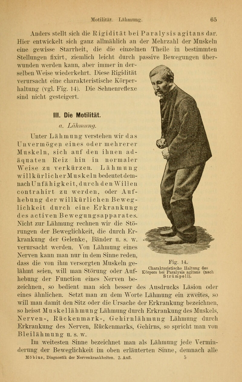 Anders stellt sich die Rigidität bei Paraljrsis agitans dar. Hier entwickelt sich ganz allmählich an der Mehrzahl der Muskeln eine gewisse Starrheit, die die einzelnen Theile in bestimmten Stellungen fixirt. ziemlich leicht durch passive Bewegungen über- wunden werden kann, aber immer in der- selben Weise wiederkehrt. Diese Rigidität verursacht eine charakteristische Körper- haltung (vgl. Fig. 14). Die Sehnenreflexe sind nicht gesteigert, III. Die Motilität. a. Lähmung. Unter Lähmung verstehen wir das Unvermögen eines oder mehrerer Muskeln, sich auf den ihnen ad- äquaten Reiz hin in normaler Weise zu verkürzen. Lähmung w i 11 k ü r 1 i c h e r M u s k e 1 n bedeutet dem- nach Unfähigkeit, durch den Willen contrahirt zu werden, oder Auf- hebung der willkürlichen Beweg- lichkeit durch eine Erkrankung des activen Bewegungsapparates. Nicht zur Lähmung rechnen wir die Stö- rungen der Beweglichkeit, die durch Er- krankung der Gelenke, Bänder u. s. w. verursacht werden. Von Lähmung eines Nerven kann man nur in dem Sinne reden, dass die von ihm versorgten Muskeln ge- lähmt seien, will man Störung oder Auf- hebung der Function eines Nerven be- zeichnen, so bedient man sich besser des Ausdrucks Läsion oder eines ähnlichen. Setzt man zu dem Worte Lähmung ein zweites, so will man damit den Sitz oder die Ursache der Erkrankung bezeichnen, so heisst Muskellähmung Lähmung durch Erkrankung des Muskels. Nerven-, Rückenmark-, Gehirnlähmung Lähmung durch Erkrankung des Nerven, Rückenmarks, Gehirns, so spricht man von Bleilähmung u. s. w. Im weitesten Sinne bezeichnet man als Lähmung jede Vermin- derung der Beweglichkeit im oben erläuterten Sinne, demnach alle MöMus, Diagnostik der Nervenkrankheiten. 2. Aufl. 5 Fig. 14. Charakteristische Haltung des Körpers bei Paralysis agitans (nach Strümpell).
