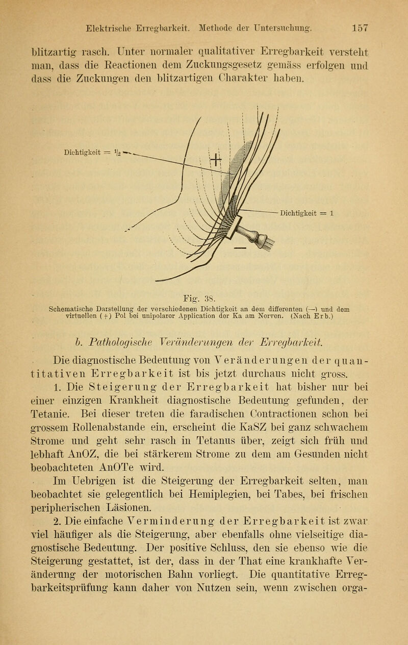 blitzartig- rasch. Unter normaler qualitativer Erregbarkeit verstellt man, dass die Reactionen dem Zuckungsgesetz gemäss erfolgen und dass die Zuckungen den blitzartigen Charakter haben. Dichtigkeit = 'fe*- Dichtigkeit = 1 Fig. 38. Schematische Darstellung der verschiedenen Dichtigkeit an dem differenten (—) und dem virtuellen (f) Pol bei unipolarer Application der Ka am Nerven. (Nach Erb.) b. Pathologische Veränderungen der Erregbarheit. Die diagnostische Bedeutung von Veränderunge n derquan- titativen Erregbarkeit ist bis jetzt durchaus nicht gross. 1. Die Steigerung der Erregbarkeit hat bisher nur bei einer einzigen Krankheit diagnostische Bedeutung gefunden, der Tetanie. Bei dieser treten die faradischen Contractionen schon bei grossem Bollenabstande ein, erscheint die KaSZ bei ganz schwachem Strome und geht sehr rasch in Tetanus über, zeigt sich früh und lebhaft AnOZ, die bei stärkerem Strome zu dem am Gesunden nicht beobachteten AnOTe wird. Im Uebrigen ist die Steigerung der Erregbarkeit selten, man beobachtet sie gelegentlich bei Hemiplegien, bei Tabes, bei frischen peripherischen Läsionen. 2. Die einfache Verminderung der E r r e gb a r k e i t ist zwar viel häufiger als die Steigerung, aber ebenfalls ohne vielseitige dia- gnostische Bedeutung. Der positive Schluss, den sie ebenso wie die Steigerung gestattet, ist der, dass in der That eine krankhafte Ver- änderung der motorischen Bahn vorliegt. Die quantitative Erreg- barkeitsprüfimg kann daher von Nutzen sein, wenn zwischen orga-