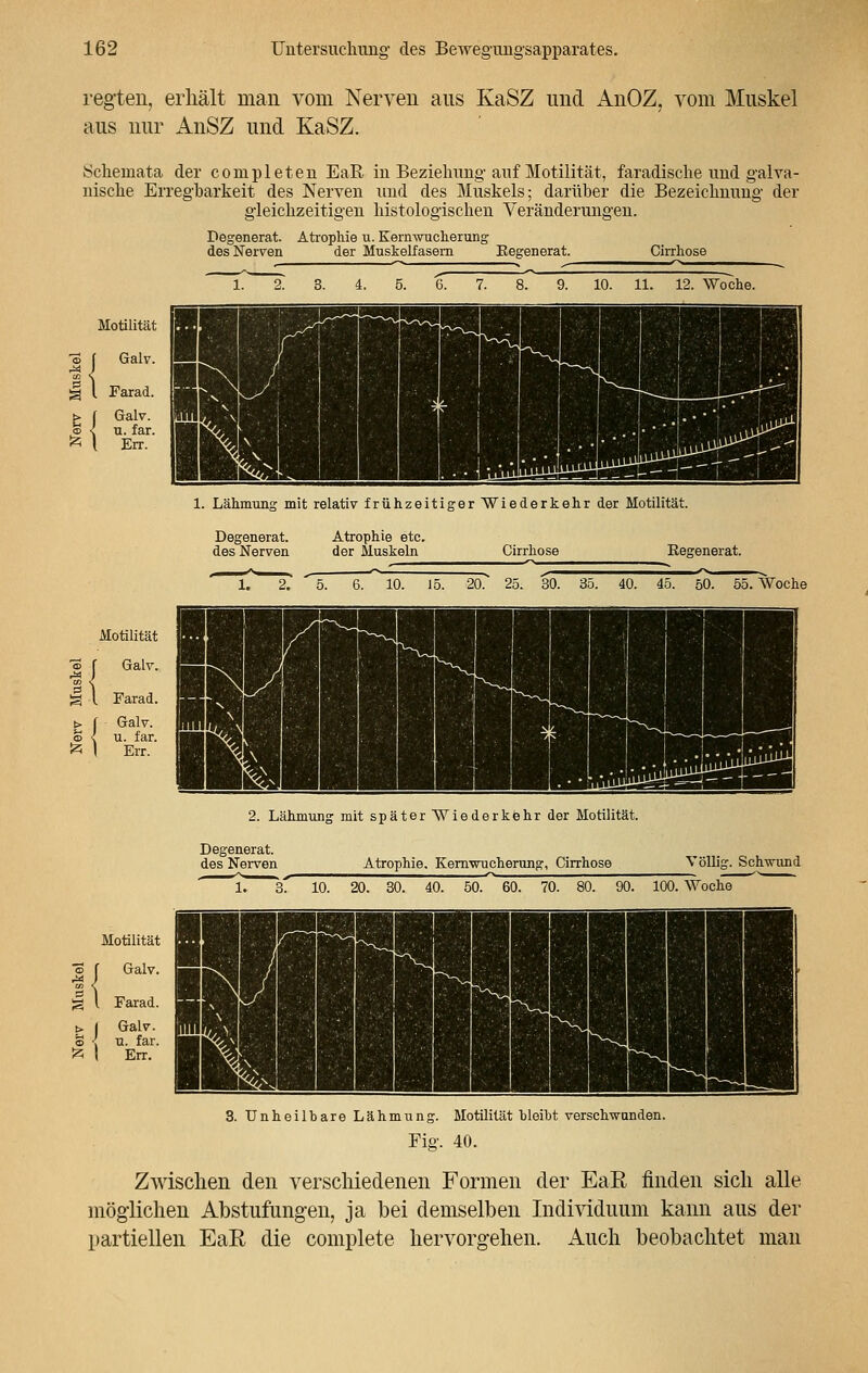 regten, erhält man vom Nerven aus KaSZ und AnOZ, vom Muskel aus nur AnSZ und KaSZ. Schemata der completen EaR in Beziehung auf Motilität, faradische und galva- nische Erregbarkeit des Nerven und des Muskels; darüber die Bezeichnung der gleichzeitigen histologischen Veränderungen. Degenerat. Atrophie u. Kernwucherung des Nerven der Muskelfasern Eegenerat. Cirrhose 1. 2. 3. 4. 5. 6. 7. 8. 9. 10. 11. 12. Woche. 1. Lähmung mit relativ frühzeitiger Wiederkehr der Motilität. Atrophie etc. der Muskeln Cirrhose Eegenerat. des Nerven 1. 2. 5. 6. 10. 15. 20. 25. 30. 35. 40. 45. 50. 55. Woche 2. Lähmung mit später Wiederkehr der Motilität. erat. jrven Atrophie. Kernwucherung, Cirrhose Völlig. Schwund 1. 3. 10. 20. 30. 40. 50. 60. 70. 90. 100. Woche Motilität Galv. 3 l Farad. Galv. u. far. O ', LI. iC» fc I Err 3. Unheilbare Lähmung. Motilität bleibt verschwunden. Fig. 40. Zwischen den verschiedenen Formen der EaR finden sich alle möglichen Abstufungen, ja bei demselben Individuum kann aus der partiellen EaR die complete hervorgehen. Auch beobachtet man