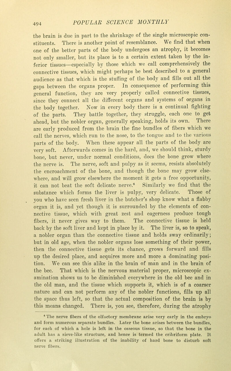 the brain is due in part to the shrinkage of the single microscopic con- stituents. There is another point of resemblance. We find that when one of the better parts of the body undergoes an atrophy, it becomes not only smaller, but its place is to a certain extent taken by the in- ferior tissues—especially by those which we call comprehensively the connective tissues, which might perhaps be best described to a general audience as that which is the stuffing of the body and fills out all the gaps between the organs proper. In consequence of performing this general function, they are very properly called connective tissues, since they connect all the different organs and systems of organs in the body together. Now in every body there is a continual fighting of the parts. They battle together, they struggle, each one to get ahead, but the nobler organ, generally speaking, holds its own. There are early produced from the brain the fine bundles of fibers which we call the nerves, which run to the nose, to the tongue and to the various parts of the body. When these appear all the parts of the body are very soft. Afterwards comes in the hard, and, we should think, sturdy bone, but never, under normal conditions, does the bone grow where the nerve is. The nerve, soft and pulpy as it seems, resists absolutely the encroachment of the bone, and though the bone may grow else- where, and will grow elsewhere the moment it gets a free opportunity, it can not beat the soft delicate nerve.® Similarly we find that the substance which forms the liver is pulpy, very delicate. Those of you who have seen fresh liver in the butcher's shop know what a flabby organ it is, and yet though it is surrounded by the elements of con- nective tissue, which with great zest and eagerness produce tough fibers, it never gives way to them. The connective tissue is held back by the soft liver and kept in place by it. The liver is, so to speak, a nobler organ than the connective tissue and holds sway ordinarily; but in old age, when the nobler organs lose something of their power, then the connective tissue gets its chance, grows forward and fills up the desired place, and acquires more and more a dominating posi- tion. We can see this alike in the brain of man and in the brain of the bee. That which is the nervous material proper, microscopic ex- amination shows us to be diminished everywhere in the old bee and in the old man, and the tissue which supports it, which is of a coarser nature and can not perform any of the nobler functions, fills up all the space thus left, so that the actual composition of the brain is by this means changed. There is, you see, therefore, during the atrophy ' The nerve fibers of the olfactory membrane arise very early in the embryo and form numerous separate bundles. Later the bone arises between the bundles, for each of which a hole is left in the osseous tissue, so that the bone in the adult has a sieve-like structure, and hence is termed the cribriform plate. It offers a striking illustration of the inability of hard bone to disturb soft nerve fibers.