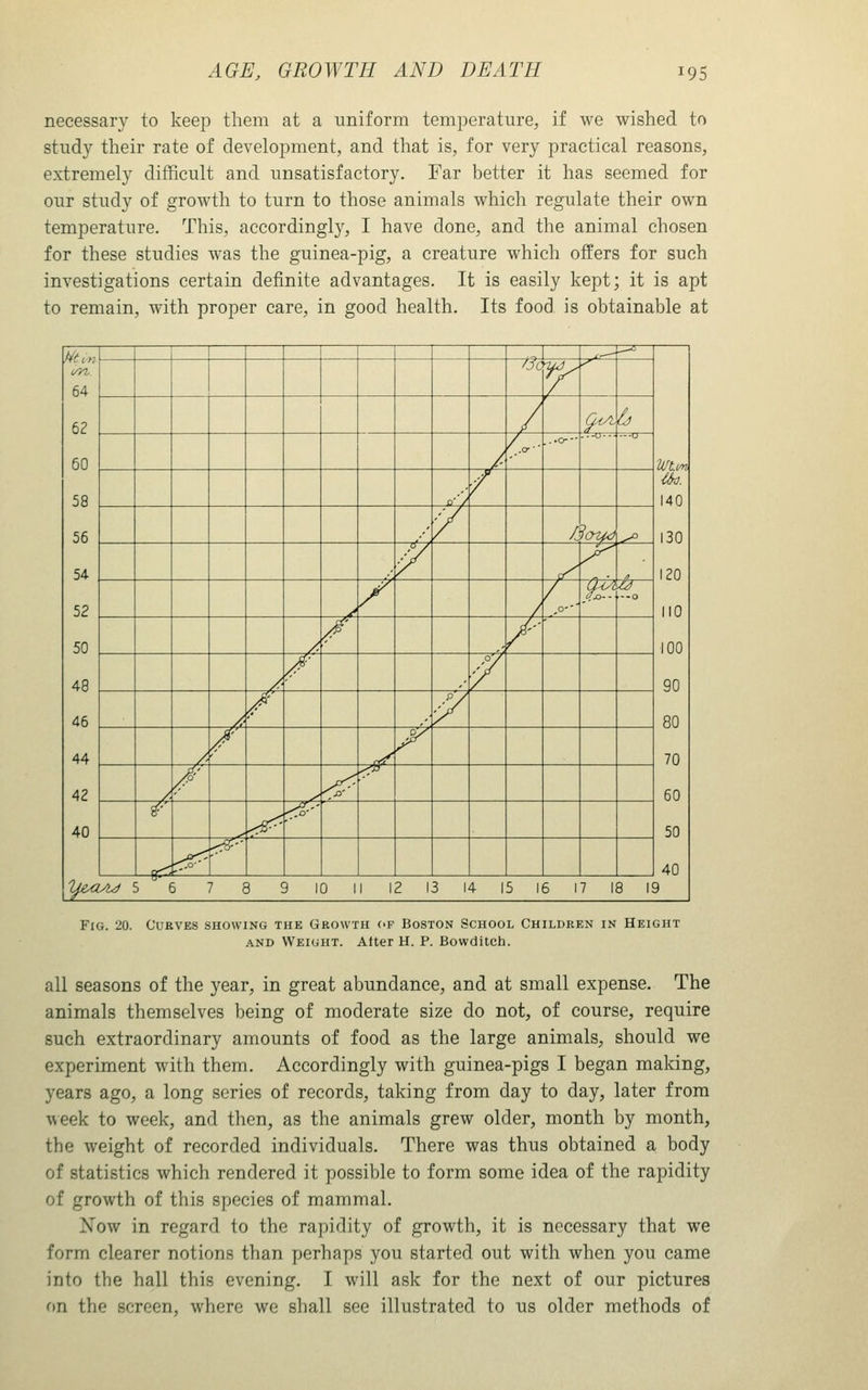 necessary to keep them at a uniform temperature, if we wished to study their rate of development, and that is, for very practical reasons, extremely difficult and unsatisfactory. Far better it has seemed for our study of growth to turn to those animals which regulate their own temperature. This, accordingly, I have done, and the animal chosen for these studies was the guinea-pig, a creature which offers for such investigations certain definite advantages. It is easily kept; it is apt to remain, with proper care, in good health. Its food is obtainable at (/yi, 64 63 50 58 56 54 52 50 48 46 44 42 40 - ^,_H -^ VJlim Uo. 140 ISO 120 110 100 90 80 70 60 50 40 /Jc yy / Q<AZy ^ /.- .■•0— / fScrud ^ y J^ y / / / 9^ --0 y. / /- ^ /■ -°/ ^ /' -y /' .^ ay / /p'' ^ ^■ <■ i- ^■ <i--' n^ r^'' ^- ym Ad '^ 5 7 8 9 10 II 12 13 14 15 16 17 IB 1 3 Fig. 20. Curves showing the Growth cf AND Weight. Alter Boston School Children in Height H. P. Bowditch. all seasons of the year, in great abundance, and at small expense. The animals themselves being of moderate size do not, of course, require such extraordinary amounts of food as the large animals, should we experiment with them. Accordingly with guinea-pigs I began making, years ago, a long series of records, taking from day to day, later from week to week, and then, as the animals grew older, month by month, the weight of recorded individuals. There was thus obtained a body of statistics which rendered it possible to form some idea of the rapidity of growth of this species of mammal. Now in regard to the rapidity of growth, it is necessary that we form clearer notions than perhaps you started out with when you came into the hall this evening. I will ask for the next of our pictures on the screen, where we shall see illustrated to us older methods of