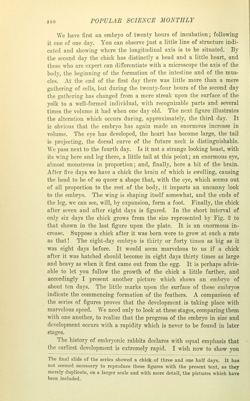 We have first an embryo of twenty hours of incubation; following it one of one day. You can observe just a little line of structure indi- cated and showing where the longitudinal axis is to be situated. By the second day the chick has distinctly a head and a little heart, and those who are expert can differentiate with a microscope the axis of the body, the beginning of the formation of the intestine and of the mus- cles. At the end of the first day there was little more than a mere gathering of cells, but during the twenty-four hours of the second day the gathering has changed from a mere streak upon the surface of the yolk to a well-formed individual, with recognizable parts and several times the volume it had when one day old. The next figure illustrates the alteration which occurs during, approximately, the third day. It is obvious that the embryo has again made an enormous increase in volume. The eye has developed, the heart has become large, the tail is projecting, the dorsal curve of the future neck is distinguishable. We pass next to the fourth day. Is it not a strange looking beast, with its wing here and leg there, a little tail at this point; an enormous eye, almost monstrous in proportion; and, finally, here a bit of the brain. After five days we have a chick the brain of which is swelling, causing the head to be of so queer a shape that, with the eye, which seems out of all proportion to the rest of the body, it imparts an uncanny look to the embryo. The wing is shaping itself somewhat, and the ends of the leg, we can see, will, by expansion, form a foot. Finally, the chick after seven and after eight days is figured. In the short interval of only six days the chick grows from the size represented by Fig. 2 to that shown in the last figure upon the plate. It is an enormous in- crease. Suppose a chick after it was born were to grow at such a rate as that! The eight-day embryo is thirty or forty times as big as it was eight days before. It would seem marvelous to us if a chick after it was hatched should become in eight days thirty times as large and heavy as when it first came out from the Qgg. It is perhaps advis- able to let you follow the growth of the chick a little farther, and accordingly I present another picture which shows an embryo of about ten days. The little marks upon the surface of these embryos indicate the commencing formation of the feathers. A comparison of the series of figures proves that the development is taking place with marvelous speed. We need only to look at these stages, comparing them with one another, to realize that the progress of the embryo in size and development occurs with a rapidity which is never to be found in later stages. The history of embryonic rabbits declares with equal emphasis that the earliest development is extremely rapid. I wish now to show you The final slide of the series showed a chick of three and one half days. It has not seemed necessary to reproduce these figures with the present text, as they merely duplicate, on a larger scale and with more detail, the pictures which have been included.