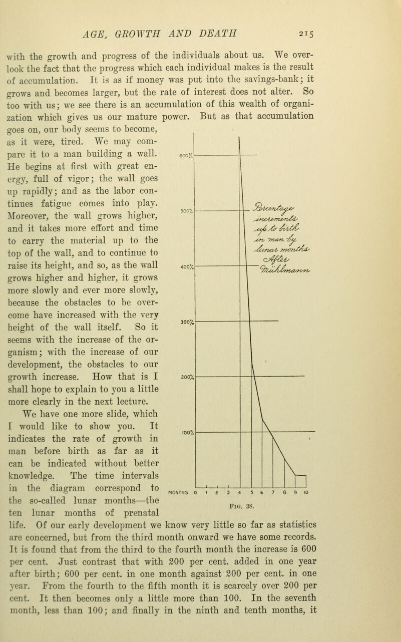 300% with the growth and progress of the individuals about us. We over- look the fact that the progress which each individual makes is the result of accumulation. It is as if money was put into the savings-bank; it grows and becomes larger, but the rate of interest does not alter. So too with us; we see there is an accumulation of this wealth of organi- zation which gives us our mature power. But as that accumulation goes on, our body seems to become, as it were, tired. We may com- pare it to a man building a wall. eoo^ He begins at first with great en- ergy, full of vigor; the wall goes up rapidly; and as the labor con- tinues fatigue comes into play. Moreover, the wall grows higher, and it takes more effort and time to carry the material up to the top of the wall, and to continue to raise its height, and so, as the wall 400^ grows higher and higher, it grows more slowly and ever more slowly, because the obstacles to be over- come have increased with the very height of the wall itself. So it seems with the increase of the or- ganism; with the increase of our development, the obstacles to our growth increase. How that is I shall hope to explain to you a little more clearly in the next lecture. We have one more slide, which r would like to show you. It indicates the rate of growth in man before birth as far as it can be indicated without better knowledge. The time intervals in the diagram correspond to tbe so-called lunar months—the ten lunar months of prenatal life. Of our early development we know very little so far as statistics are concerned, but from the third month onward we have some records. It is found that from the third to the fourth month the increase is 600 per cent. Just contrast that with 200 per cent, added in one year after birth; 600 per cent, in one month against 200 per cent, in one year. From the fourth to the fifth month it is scarcely over 200 per cent. It then becomes only a little more than 100. In the seventh month, less than 100; and finally in the ninth and tenth months, it Fig. 3S.