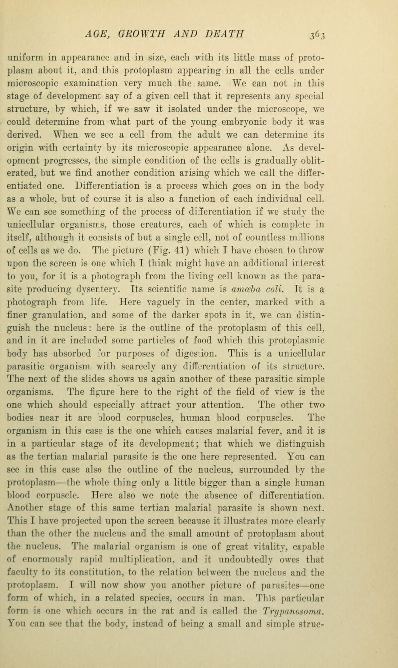 uniform in appearance and in size, each with its little mass of proto- plasm about it, and this protoplasm appearing in all the cells under microscopic examination very much the same. We can not in this stage of development say of a given cell that it represents any special structure, by which, if we saw it isolated under the microscope, we could determine from what part of the young embryonic body it was derived. When we see a cell from the adult we can determine its origin with certainty by its microscopic appearance alone. As devel- opment progresses, the simple condition of the cells is gradually oblit- erated, but we find another condition arising which we call the differ- entiated one. Differentiation is a process which goes on in the body as a whole, but of course it is also a function of each individual cell. We can see something of the process of differentiation if we study the unicellular organisms, those creatures, each of which is complete in itself, although it consists of but a single cell, not of countless millions of cells as we do. The picture (Fig. 41) which I have chosen to throw upon the screen is one which I think might have an additional interest to you, for it is a photograph from the living cell known as the para- site producing dysentery. Its scientific name is amoeba coli. It is a photograph from life. Here vaguely in the center, marked with a finer granulation, and some of the darker spots in it, we can distin- guish the nucleus: here is the outline of the protoplasm of this cell, and in it are included some particles of food which this protoplasmic body has absorbed for purposes of digestion. This is a unicellular parasitic organism with scarcely any differentiation of its structure. The next of the slides shows us again another of these parasitic simple organisms. The figure here to the right of the field of view is the one which should especially attract your attention. The other two bodies near it are blood corpuscles, human blood corpuscles. The organism in this case is the one which causes malarial fever, and it is in a particular stage of its development; that which we distinguish as the tertian malarial parasite is the one here represented. You can see in this case also the outline of the nucleus, surrounded by the protoplasm—the whole thing only a little bigger than a single human blood corpuscle. Here also we note the absence of differentiation. Another stage of this same tertian malarial parasite is shown next. This I have projected upon the screen because it illustrates more clearly than the other the nucleus and the small amount of protoplasm about the nucleus. The malarial organism is one of great vitality, capable of enormously rapid multiplication, and it undoubtedly owes that faculty to its constitution, to the relation between the nucleus and the protoplasm. I will now show you another picture of parasites—one form of which, in a related species, occurs in man. This particular form is one which occurs in the rat and is called the Trypanosoma. You can see that the body, instead of being a small and sirnj)le struc-