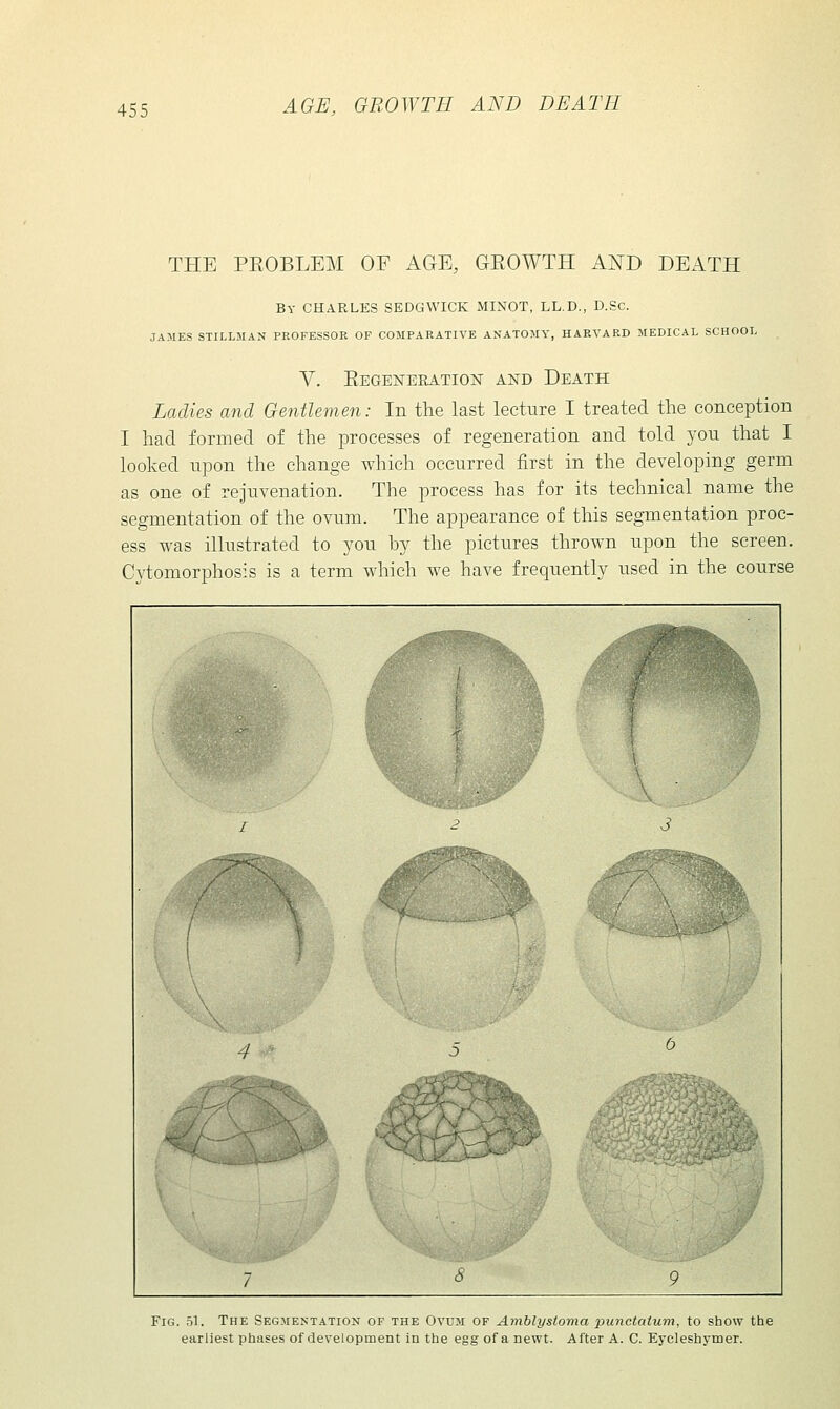 THE PKOBLEM OF AGE, GEOWTH AND DEATH By CHARLKS SEDGWICK MINOT, LL.D., D.Sc. JAMES STILLMAN PROFESSOR OF COMPARATIVE ANATOMY, HARVARD MEDICAL SCHOOL Y. Eegeneration and Death Ladies and Gentlemen: In the last lecture I treated the conception I had formed of the processes of regeneration and told yon that I looked upon the change which occurred first in the developing germ as one of rejuvenation. The process has for its technical name the segmentation of the ovum. The appearance of this segmentation proc- ess was illustrated to you by the pictures thrown upon the screen. Cytomorphosis is a term which we have frequently used in the course Fig. si. The Segmentation of the Ovum of Amblystoma punctatum, to show the earliest phases of development in the egg of a newt. After A. C. Eycleshymer.