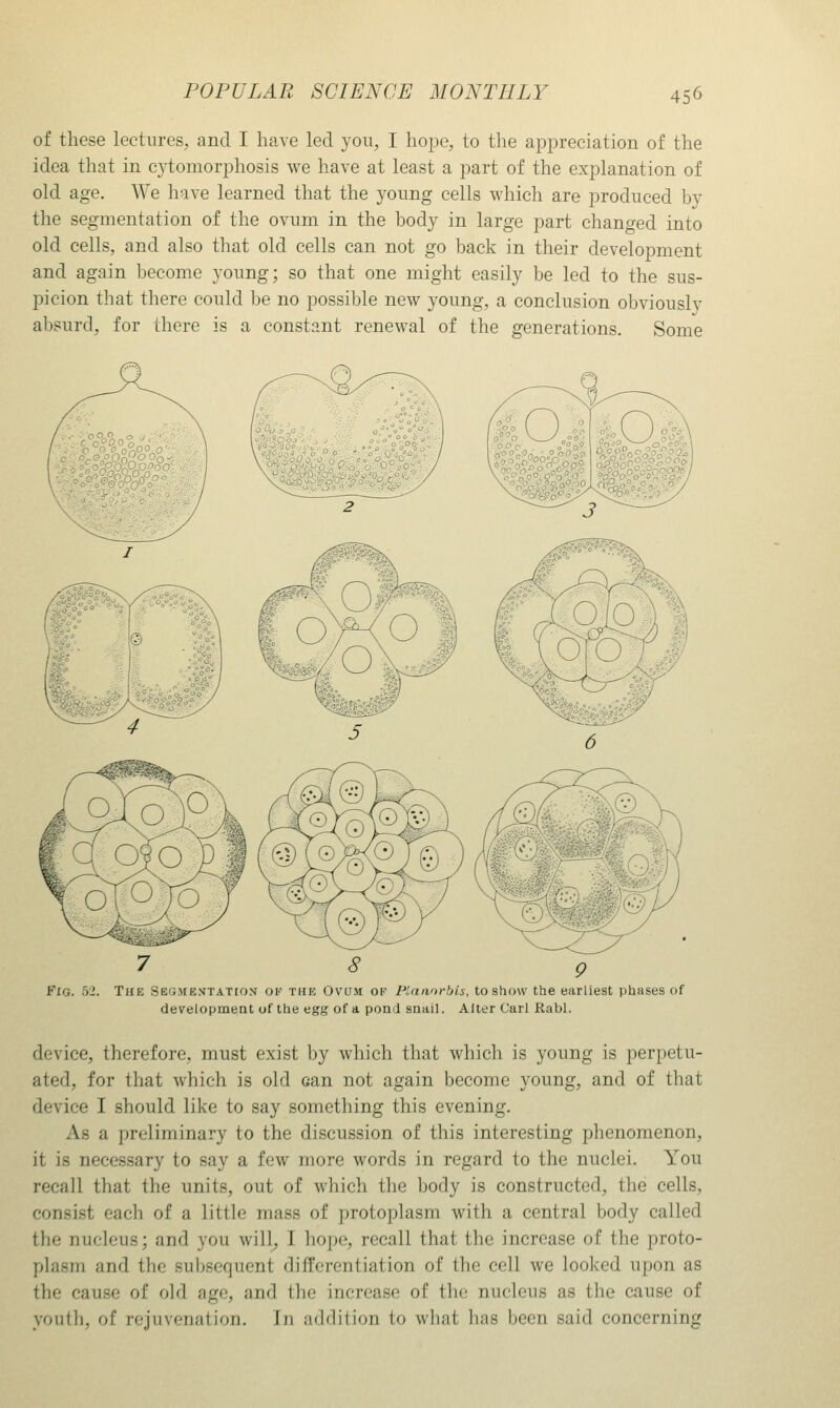 of these lectures, and I have led yon, I hope, to the appreciation of the idea that in cjtomorphosis we have at least a part of the explanation of old age. We have learned that the young cells which are produced by the segmentation of the ovum in the body in large part changed into old cells, and also that old cells can not go back in their development and again become young; so that one might easily be led to the sus- picion that there could be no possible new young, a conclusion obviously absurd, for there is a constant renewal of the generations. Some Fig. 52. The Se'jmentateon ok the Ovum of Plaanrhis, to show the earliest phases of development of the egg of a pond snail. Alter Carl Rabl. device, therefore, must exist by which that which is young is perpetu- ated, for that which is old can not again become young, and of that device I should like to say something this evening. As a preliminary to the discussion of this interesting phenomenon, it is necessary to say a few more words in regard to the nuclei. You recall that the units, out of which the body is constructed, the cells, consist each of a little mass of protoplasm with a central body called the nucleus; and you will, I hope, recall that the increase of the proto- plasm and the subsequent differentiation of the cell we looked upon as the cause of old age, and the increase of the nucleus as the cause of youth, of rejuvenation. In addition to what has been said concerning