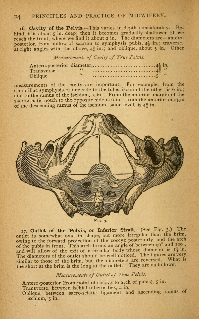 16. Cavity of the Pelvis.—This varies in depth considerably. Be- hind, it is about 5 in. deep; then it becomes gradually shallower till we reach the front, where we find it about 2 in. The diameters are—antero- posterior, from hollow of sacrum to symphysis pubis, 4| in.; traverse, at right angles with the above, 4f in.; and oblique, about 5 in. Other Measurements of Cavity of True Pelvis. Antero-posterior diameter, 4^ in. Transverse  4f  Oblique  5  measurements of the cavity are important. For example, from the sacro-iliac symphysis of one side to the tuber ischii of the other, is 6 in.; and to the ramus of the ischium, 5 in. From the anterior margin of the sacro-sciatic notch to the opposite side is 6 in.; from the anterior margin of the descending ramus of the ischium, same level, is 4| in. 17. Outlet of the Pelvis, or Inferior Strait.—(See Fig. 3) The outlet is somewhat oval in shape, but more irregular than the brim, owing to the forward projection of the coccyx posteriorly, and the arch of the pubis in front. This arch forms an angle of between 90 and 100 , and will allow of the exit of a circular body whose diameter is i^ in. The diameters of the outlet should be well noticed. The figures are very similar to those of the brim, but the diameters are reversed. What is the short at the brim is the long at the outlet. They are as follows: Measurements of Outlet of True Pelvis. Antero-posterior (from point of coccyx to arch of pubis), 5 in. Transverse, between ischial tuberosities, 4 in. Oblique, between sacro-sciatic ligament and ascending ramus of ischium, 5 in.