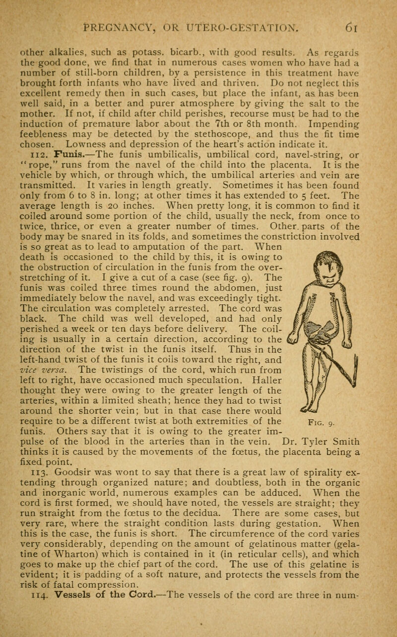 other alkalies, such as potass, bicarb., with good results. As regards the good done, we find that in numerous cases women who have had a number of still-born children, by a persistence in this treatment have brought forth infants who have lived and thriven. Do not neglect this excellent remedy then in such cases, but place the infant, as has been well said, in a better and purer atmosphere by giving the salt to the mother. If not, if child after child perishes, recourse must be had to the induction of premature labor about the 7th or 8th month. Impending feebleness may be detected by the stethoscope, and thus the fit time chosen. Lowness and depression of the heart's action indicate it. 112. Funis.—The funis umbilicalis, umbilical cord, navel-string, or rope, runs from the navel of the child into the placenta. It is the vehicle by which, or through which, the umbilical arteries and vein are transmitted. It varies in length greatly. Sometimes it has been found only from 6 to 8 in. long; at other times it has extended to 5 feet. The average length is 20 inches. When pretty long, it is common to find it coiled around some portion of the child, usually the neck, from once to twice, thrice, or even a greater number of times. Other, parts of the body may be snared in its folds, and sometimes the constriction involved is so great as to lead to amputation of the part. When death is occasioned to the child by this, it is owing to the obstruction of circulation in the funis from the over- stretching of it. I give a cut of a case (see fig. 9). The funis was coiled three times round the abdomen, just immediately^ below the navel, and was exceedingly tight. The circulation was completely arrested. The cord was black. The child was well developed, and had only perished a week or ten days before delivery. The coil- ing is usually in a certain direction, according to the direction of the twist in the funis itself. Thus in the left-hand twist of the funis it coils toward the right, and vice versa. The twistings of the cord, which run from left to right, have occasioned much speculation. Haller thought they were owing to the greater length of the arteries, within a limited sheath; hence they had to twist around the shorter vein; but in that case there would require to be a different twist at both extremities of the Fig. 9. funis. Others say that it is owing to the greater im- pulse of the blood in the arteries than in the vein. Dr. Tyler Smith thinks it is caused by the movements of the foetus, the placenta being a fixed point. 113. Goodsir was w^ont to say that there is a great law of spirality ex- tending through organized nature; and doubtless, both in the organic and inorganic world, numerous examples can be adduced. When the cord is first formed, we should have noted, the vessels are straight; they run straight from the foetus to the decidua. There are some cases, but very rare, where the straight condition lasts during gestation. When this is the case, the funis is short. The circumference of the cord varies very considerably, depending on the amount of gelatinous matter (gela- tine of Wharton) which is contained in it (in reticular cells), and which goes to make up the chief part of the cord. The use of this gelatine is evident; it is padding of a soft nature, and protects the vessels from the risk of fatal compression. 114. Vessels of the Gord.—The vessels of the cord are three in num-