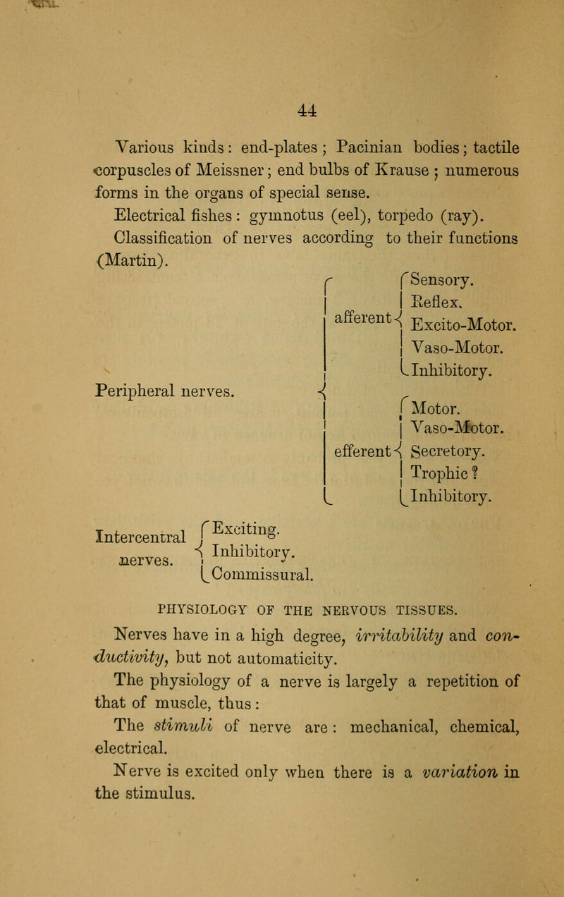 Various kinds : end-plates ; Pacinian bodies; tactile corpuscles of Meissner; end bulbs of Krause ; numerous forms in the organs of special sense. Electrical fishes: gymnotus (eel), torpedo (ray). Classification of nerves according to their functions (Martin). fSensory. I Eeflex. afferent^ Excito-Motor. I Vaso-Motor. L Inhibitory. Peripheral nerves. < r Motor. I Yaso-Motor. efferent^ Secretory. I Trophic? (^Inhibitory. Intercentral J ^^^ ^J^^' ^^ Inhibitory, aierves. (^Commissural. PHYSIOLOGY OF THE NERVOUS TISSUES. Nerves have in a high degree, irritability and con- ductivityj but not automaticity. The physiology of a nerve is largely a repetition of that of muscle, thus : The stimuli of nerve are: mechanical, chemical, electrical. Nerve is excited only when there is a variation in the stimulus.