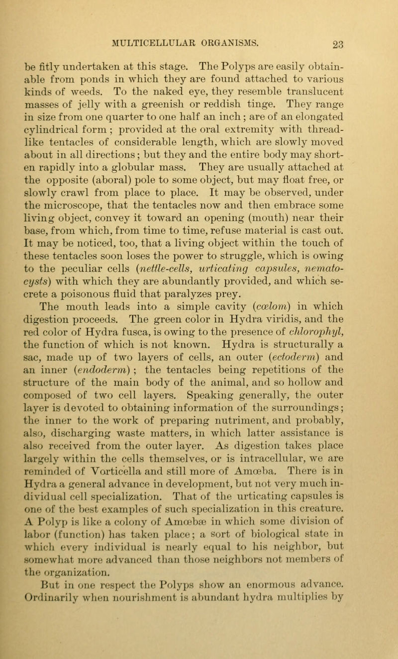 be fitly undertaken at this stage. The Polyps are easily obtain- able from ponds in which they are found attached to various kinds of weeds. To the naked eye, they resemble translucent masses of jelly with a greenish or reddish tinge. They range in size from one quarter to one half an inch; are of an elongated cylindrical form ; provided at the oral extremity with thread- like tentacles of considerable length, which are slowly moved about in all directions; but they and the entire body may short- en rapidly into a globular mass. They are usually attached at the opposite (aboral) pole to some object, but may float free, or slowly crawl from place to place. It may be observed, under the microscope, that the tentacles now and then embrace some living object, convey it toward an opening (mouth) near their base, from which, from time to time, refuse material is cast out. It may be noticed, too, that a living object within the touch of these tentacles soon loses the power to struggle, which is owing to the peculiar cells (netUe-cells, urticating capsules, nemato- cysts) with which they are abundantly provided, and which se- crete a poisonous fluid that paralyzes prey. The mouth leads into a simple cavity {coelom) in which digestion proceeds. The green color in Hydra viridis, and the red color of Hydra fusca, is owing to the presence of clilorophyl, the function of which is not known. Hydra is structurally a sac, made up of two layers of cells, an outer {ectoderm) and an inner (endoderm) ; the tentacles being repetitions of the structure of the main body of the animal, and so hollow and composed of two cell layers. Speaking generally, the outer layer is devoted to obtaining information of the surroundings; the inner to the work of preparing nutriment, and probably, also, discharging waste matters, in which latter assistance is also received from the outer layer. As digestion takes place largely within the cells themselves, or is intracellular, we are reminded of Varticella and still more of Amoeba. There is in Hydra a general advance in development, but not very much in- dividual cell sx>ecialization. That of the urticating capsules is one of the best examples of such sj^ecialization in this creature. A Polyp is like a colony of Amoebae in which some division of labor (function) has taken place; a sort of biological state in which every individual is nearly equal to his neighbor, but somewhat more advanced than those neighbors not members of the organization. But in one respect the Polyps show an enormous advance. Ordinarily wlien nourishment is abundant hydra multiplies by