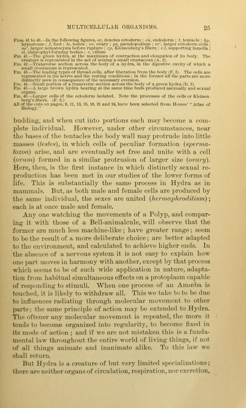 Figs. 41 to -16.—In the following figures, ec, denotes ectoderm ; en, endoderm ; t, tentacle ; hp, hypostome ; /. foot; ts, testes ; oi\ ovary ; ps. pseudopodium ; ec', larger ectoderm-cells; ne\ larger nematocysts before inapture ; cp. Kleiueuberg's fibers ; c.l, supporting lamella ; cl, chloroph.yl-formfng bodies ; c, cilium Fig. 41.—The greeu h.ydra, at the maximum of contraction and elongation of its body. The creature is represented in the act of seizing a small crustacean (A, 2). Fig. 42.—Transverse section across the body of a hydra, in the digestive cavity of which a small crustacean is represented. Fig. 43.—The leading types of thread-cells, after liberation from the body (F. 3i. The cells are represented in the active and the resting conditions ; in the former all the parts are more distinctly seen in consequence of the necessary eversion. Fig. 44.—Small portion of a transverse .section across the body of a green hydra (D, 3). B^G. 45.—A large brown hydra bearmg at the same time buds produced asexually and sexual organs. Fig. 46.—Larger cells of the ectoderm isolated. Note the processes of the cells or Kleinen- berg's fibers. (F, 3.) AU of the cuts on pages, 9, 11, 13, 16, 18, 21 and 24, have been selected from Howes' Atlas of Biology.' budding, and when cut into portions each may become a com- plete individual. However, under other circumstances, near the bases of the tentacles the body wall may protrude into little masses {testes), in which cells of peculiar formation {sperma- tozoa) arise, and are eventually set free and unite with a cell {ovum) formed in a similar protrusion of larger size {ovary). Here, then, is the first instance in which distinctly sexual re- production has been met in our studies of the lower forms of life. This is substantially the same process in Hydra as in mammals. But, as both male and female cells are produced by the same individual, the sexes are united {hermaphroditism); each is at once male and female. Any one watching the movements of a Polyp, and compar- ing it with those of a Bell-animalcule, will observe that the former are much less machine-like ; have greater range; seem to be the result of a more deliberate choice; are better adapted to the environment, and calculated to achieve higher ends. In the absence of a nervous system it is not easy to explain how one part moves in harmony with another, except by that process which seems to be of such wide application in nature, adapta- tion from habitual simultaneous effects on a protoplasm capable of responding to stimuli. When one process of an Amoeba is touched, it is likely to withdraw all. This we take to to be due to influences radiating through molecular movement to other parts; the same j>rinciple of action may be extended to Hydra. The oftener any molecular movement is repeated, the more it tends to become organized into regularity, to become fixed in its mode of action ; and if we are not mistaken this is a funda- mental law throughout the entire world of living things, if not of all things animate and inanimate alike. To this law we shall return. But Hydra is a creature of but very limited specializations; there are neither organs of circulation, respiration, nor excretion.