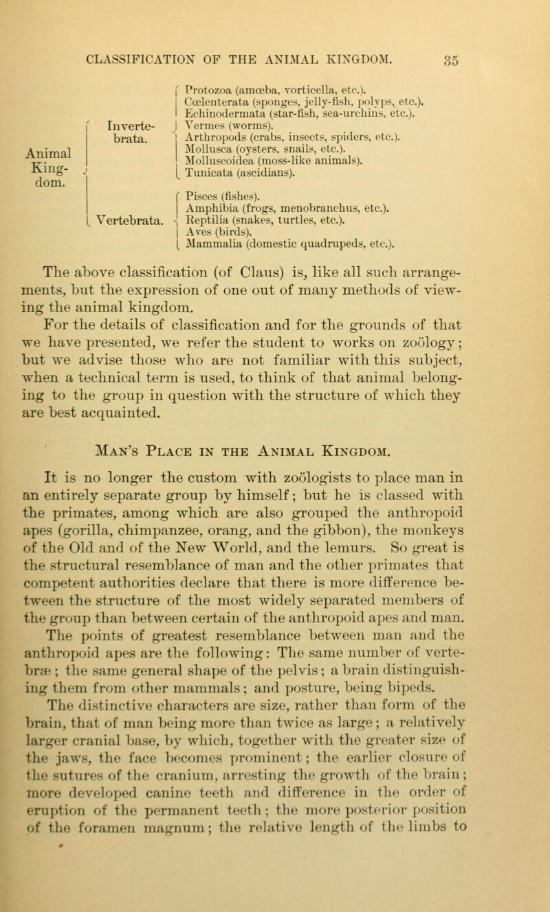 Animal Kiug- dom. CLASSIFICATION OF THE ANIMAL KINGDOM. 35 f Protozoa (amoeba, vorticella, etc.). j Coelenterata (sponges, jelly-fish, jjolyps, etc.). I Echinodermata (star-fish, sea-urchins, etc.). r Inverte- J Vermes (worms). brata. ] Arthropods (crabs, insects, spiders, etc.). Mollusca (oysters, snails, etc.). Molluscoidea (moss-like animals). [ Tunicata (ascidians). f Pisces (fishes). I Amphibia (frogs, menobranchus, etc.). t Vertebrata. -J Keptilia (snakes, turtles, etc.). I Aves (birds). [ Mammalia (domestic quadrupeds, etc.). The above classification (of Claus) is, like all such arrange- ments, but the expression of one out of many methods of view- ing the animal kingdom. For the details of classification and for the grounds of that we have presented, we refer the student to works on zoology; but we advise those who are not familiar with this subject, when a technical term is used, to think of that animal belong- ing to the group in question with the structure of which they are best acquainted. Man's Place in the Animal Kingdom. It is no longer the custom with zoologists to place man in an entirely separate group by himself; but he is classed with the primates, among which are also grouped the anthropoid apes (gorilla, chimpanzee, orang, and the gibbon), the monkeys of the Old and of the New World, and the lemurs. So great is the structural resemblance of man and the other primates that competent authorities declare that there is more difference be- tween the structure of the most widely separated members of the group than between certain of the anthr(^poid apes and man. The points of greatest resemblance between man and the anthropoid apes are the following: The same number of verte- bree ; the same general shape of the pelvis; a brain distinguish- ing them from other mammals; and posture, being bipeds. The distinctive characters are size, rather than form of the brain, that of man being more than twice as large; a relatively larger cranial base, by which, together with the greater size of the jaw.s, the face becomes prominent; the earlier closure of the sutures of the cranium, arresting the growth of the brain; more developed canine teeth and difference in the order of eruption of the permanent teeth; the more i)osterior position of the foramen magnum; the relative length of the limbs to