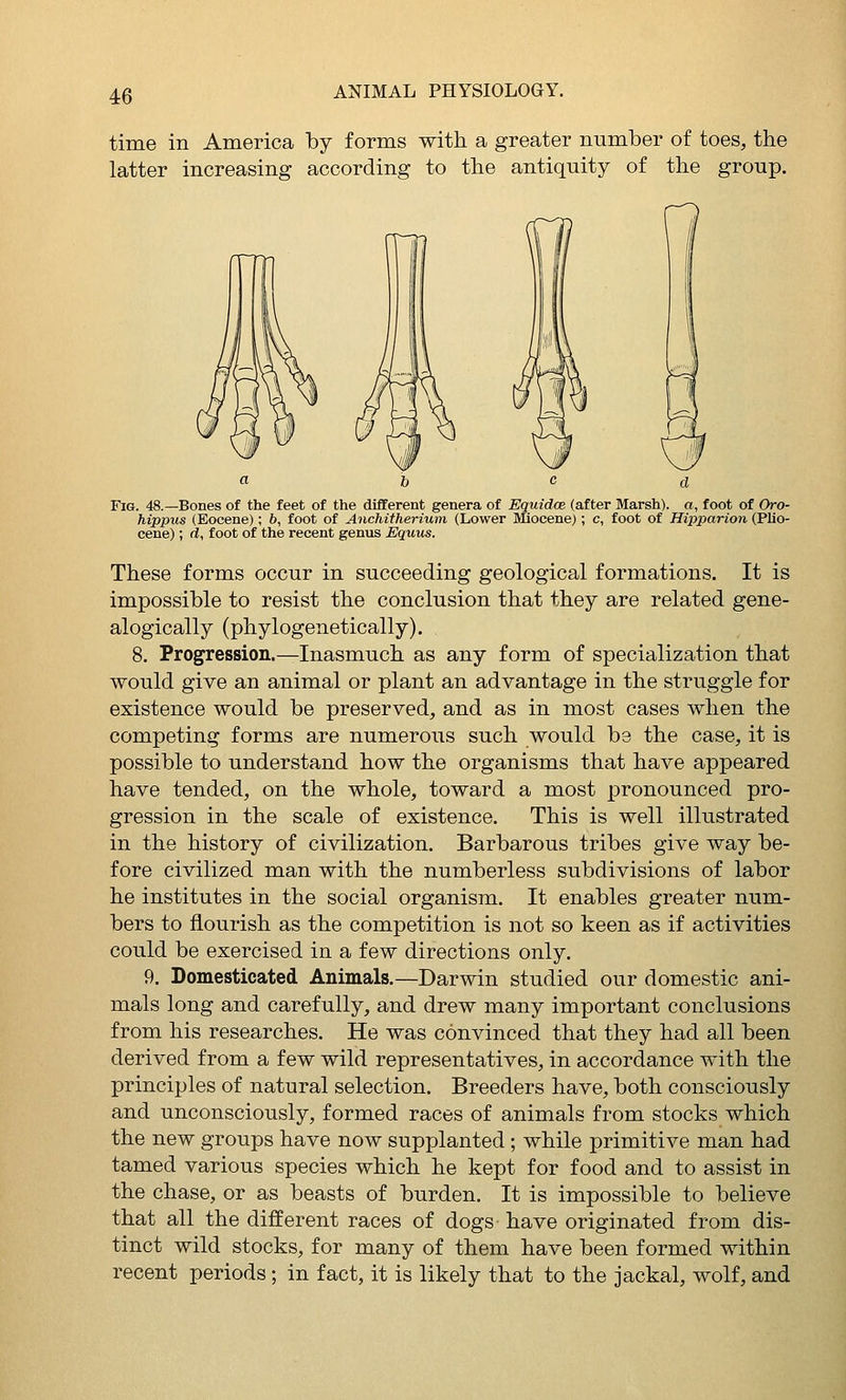 time in America by forms with a greater number of toes, the latter increasing according to the antiquity of the group. Fig. 48.—Bones of the feet of the different genera of Equidce (after Marsh), a, foot of Oro- hippus (Eocene); b, foot of Anchitherium (Lower Miocene); c, foot of Hipparion (Plio- cene) ; d, foot of the recent genus Equus. These forms occur in succeeding geological formations. It is impossible to resist the conclusion that they are related gene- alogically (phylogenetically). 8. Progression.—Inasmuch as any form of specialization that would give an animal or plant an advantage in the struggle for existence would be preserved, and as in most cases when the competing forms are numerous such would be the case, it is possible to understand how the organisms that have appeared have tended, on the whole, toward a most pronounced pro- gression in the scale of existence. This is well illustrated in the history of civilization. Barbarous tribes give way be- fore civilized man with the numberless subdivisions of labor he institutes in the social organism. It enables greater num- bers to flourish as the competition is not so keen as if activities could be exercised in a few directions only. 9. Domesticated Animals.—Darwin studied our domestic ani- mals long and carefully, and drew many important conclusions from his researches. He was convinced that they had all been derived from a few wild representatives, in accordance with the principles of natural selection. Breeders have, both consciously and unconsciously, formed races of animals from stocks which the new groups have now supplanted ; while primitive man had tamed various species which he kept for food and to assist in the chase, or as beasts of burden. It is impossible to believe that all the different races of dogs have originated from dis- tinct wild stocks, for many of them have been formed within recent periods; in fact, it is likely that to the jackal, wolf, and