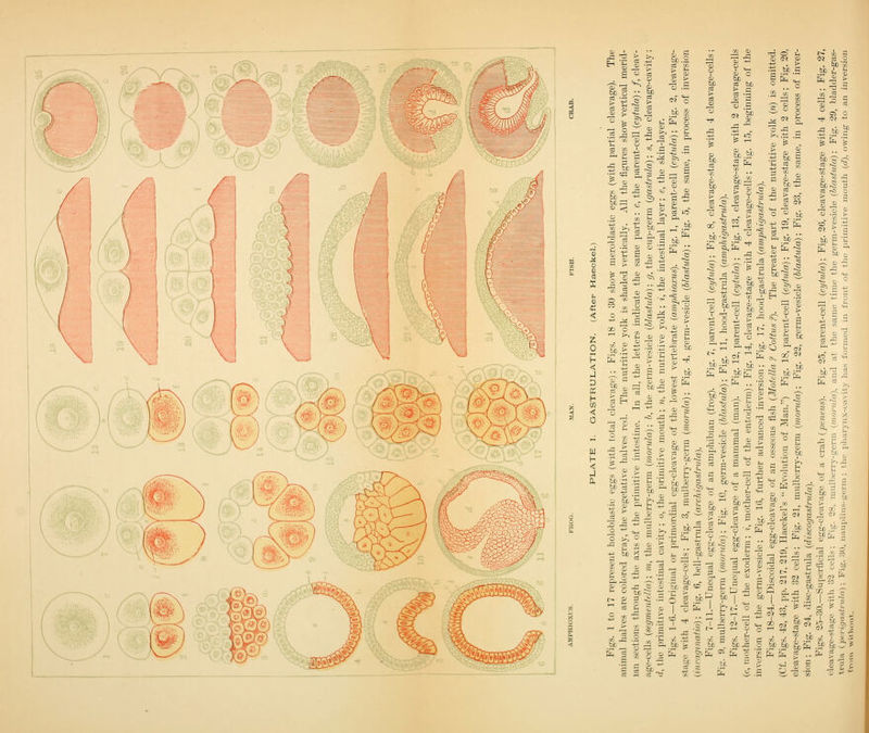^i. '< to h > T^ ^ Ji > :r^ -2 .^ as O J5 03 P= ^ Eq « a. wi_ ^ 3 .^ rl -tJ O) r-lH -s ^ a & s Pi:^ --s ^ js S c J3 H e 0 -H 2 m -5 to _g 'S o bt, s r- -c — s . be 3 ^1 CD 8 CD J3 0 bJD V ,-H s ^ cS ':S o p g . o  bb O .?H _t> 1 .5^ 1 3 iff -1 CD £ 1^ & 1 ft ^ 03 ■^ a > '3 £ 'S'rS ;e~^ +^ 1 he o be CD H 3 ^ gj_a3 1^: 1? a 0 c o t4 ri O %' o of^ ? i 1 1 .s O 4^ > CD m ji CS J s cS t-' 3 s: tJ bCcS a .• CT ^^ E CO N s^ ^o bD >-i S fcb bb s O -2 . be •SPE .^«1 cS ;iS .„ o ^ fe =* j^ 1 r^ ^^ a e ^ c £^ ^ ^ -Si 'cS .2 S o c 03 3 O o a 3 ^ M .a 'fe ^ 0 s a » Sk rT-S bp-T: ^ bJ) > m CD ? 3 o M --3 -~ ^ &• a ~ ^ ,_- be  ~ ° £ a CD =i « ^ 3 M TJ e ^ '^' ;3 5 a. . _ o _2 be .5 5 •r; tz^ ., benS fc '  a> <i> '« be .i'- to 3 ol =5 -73 s 2 o bo I § T ^ CI ) . be  --: S ^ OS £' rS CT -jS 3 > 'o I- ^ -S A O i-H C! « ® S ^ .be -S CD (—i CI, ^ A ■^ be I s, .-y m o ji ^ ^- is ri __ ■^ M -# m - a; c> fi* £ £ fe & g ... o '^ c '■X ^ :~ rt ?